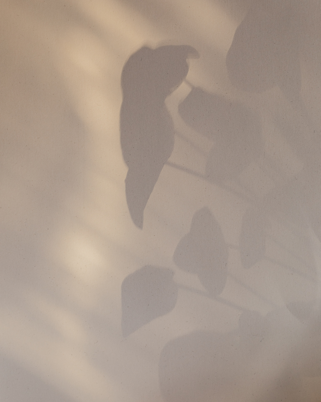 6 Wochen - Der Weg nach innen