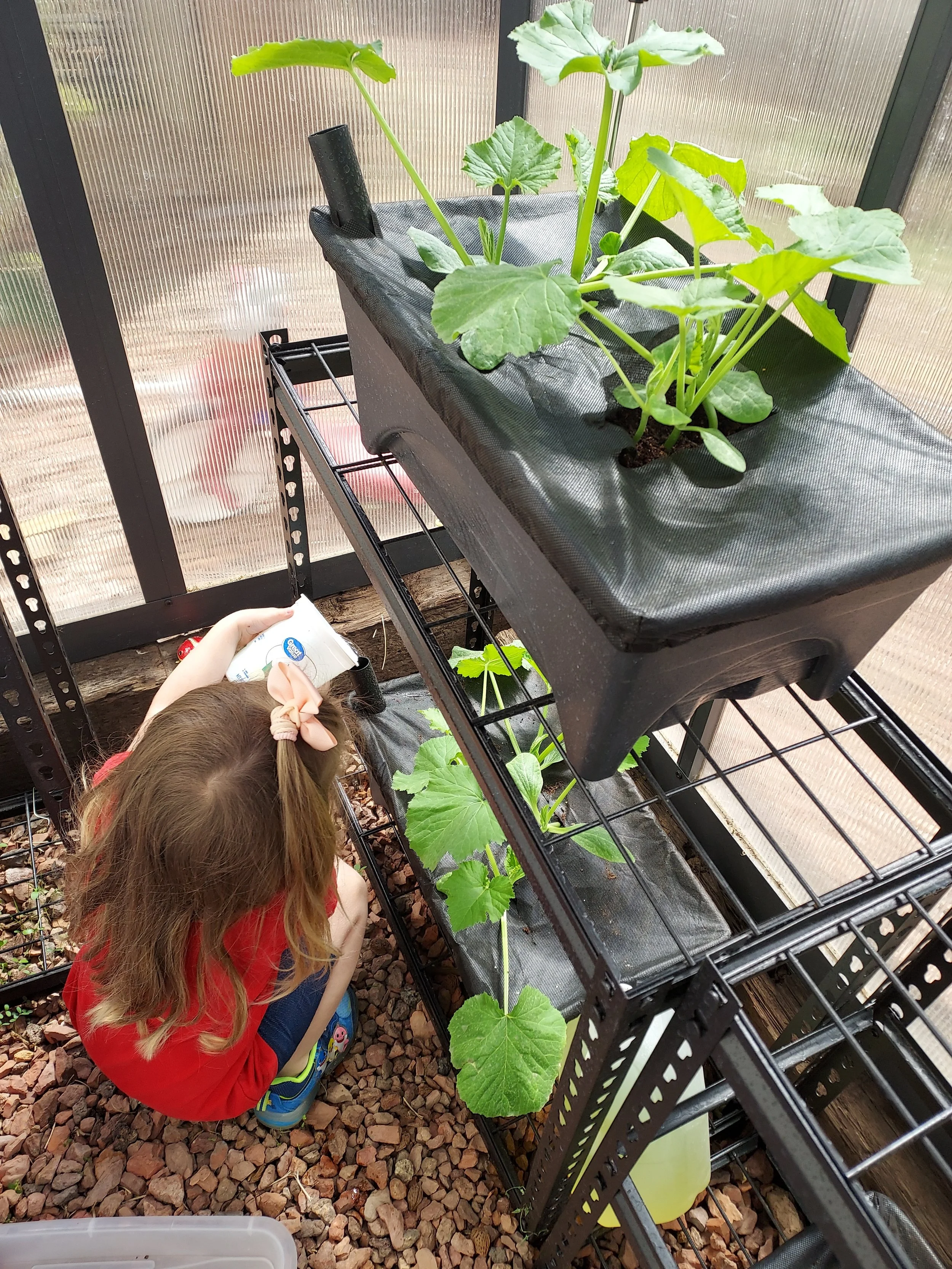 A young girl with long hair tied with a pink bow is crouching inside a greenhouse, watering plants in a tiered garden system with a spray bottle. The plants have large, green leaves and are growing in layered containers.