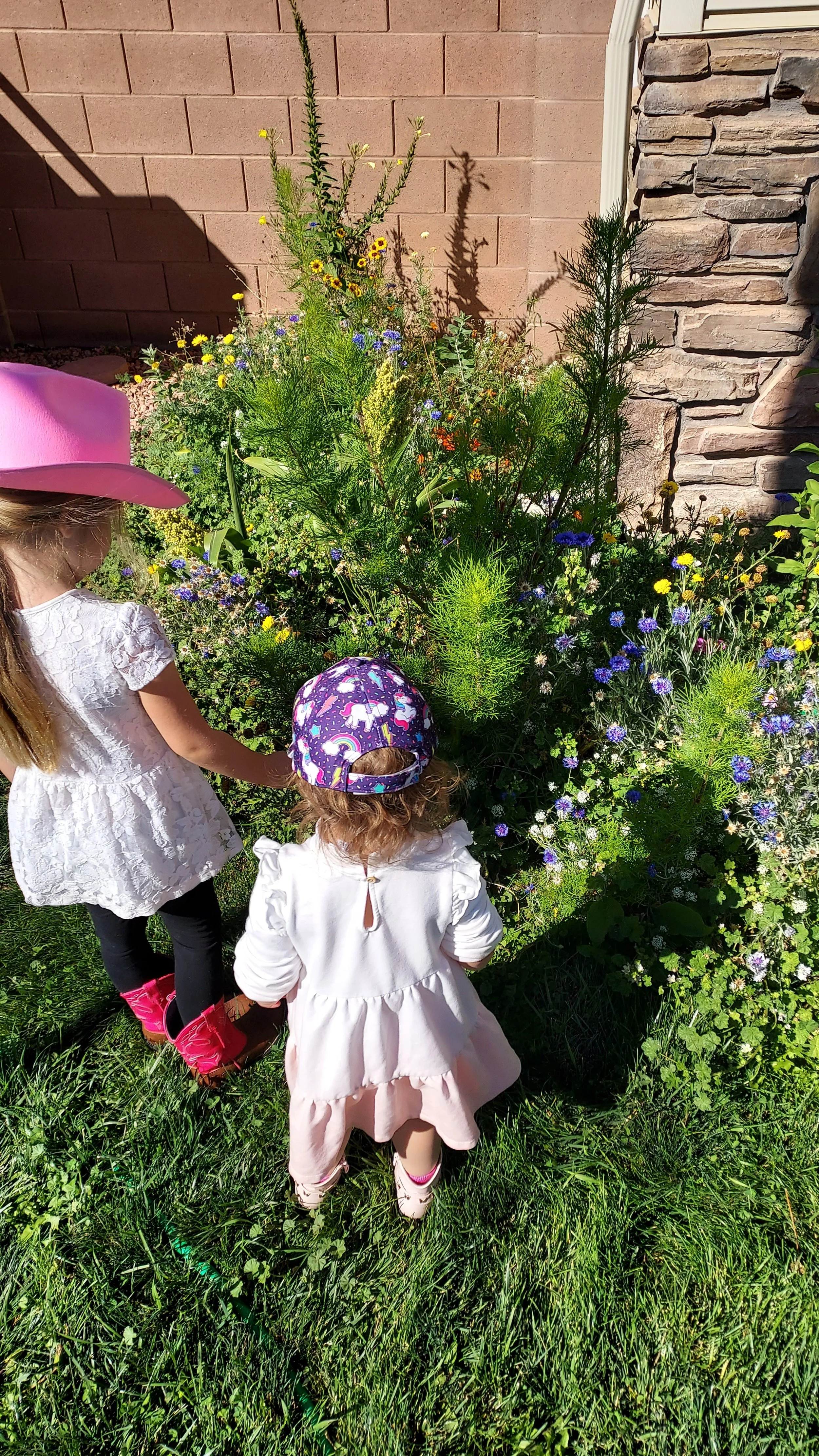 Two young girls, one wearing a pink hat and the other a purple cap, explore a lush garden with colorful flowers and tall green plants against a brick wall.