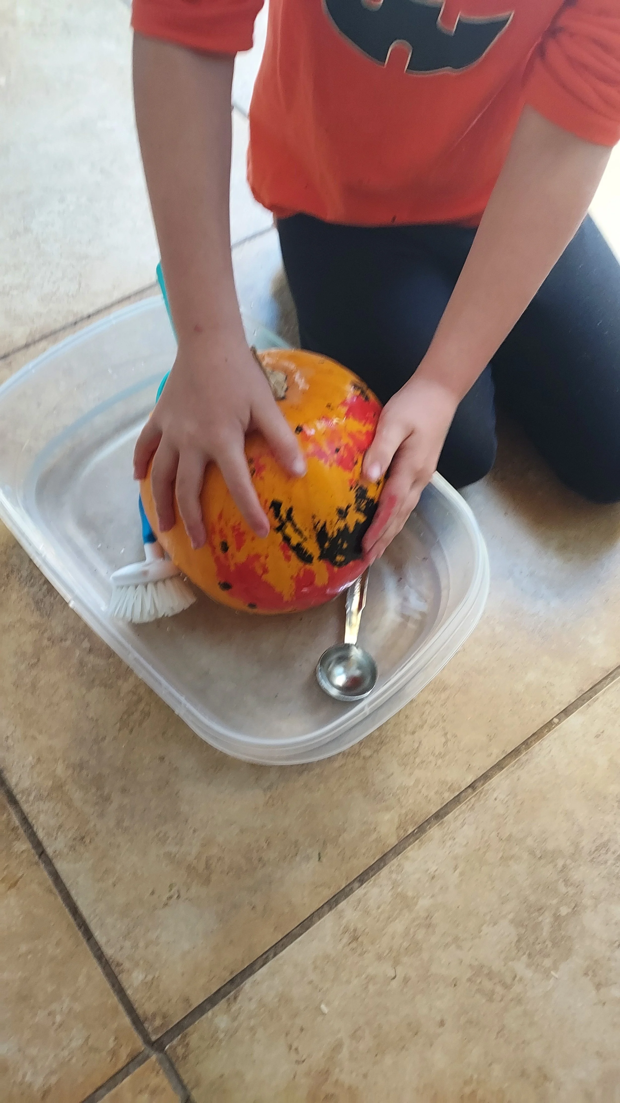 Child kneeling on floor, washing a decorated pumpkin with a brush, soap, and a measuring spoon in a plastic container.