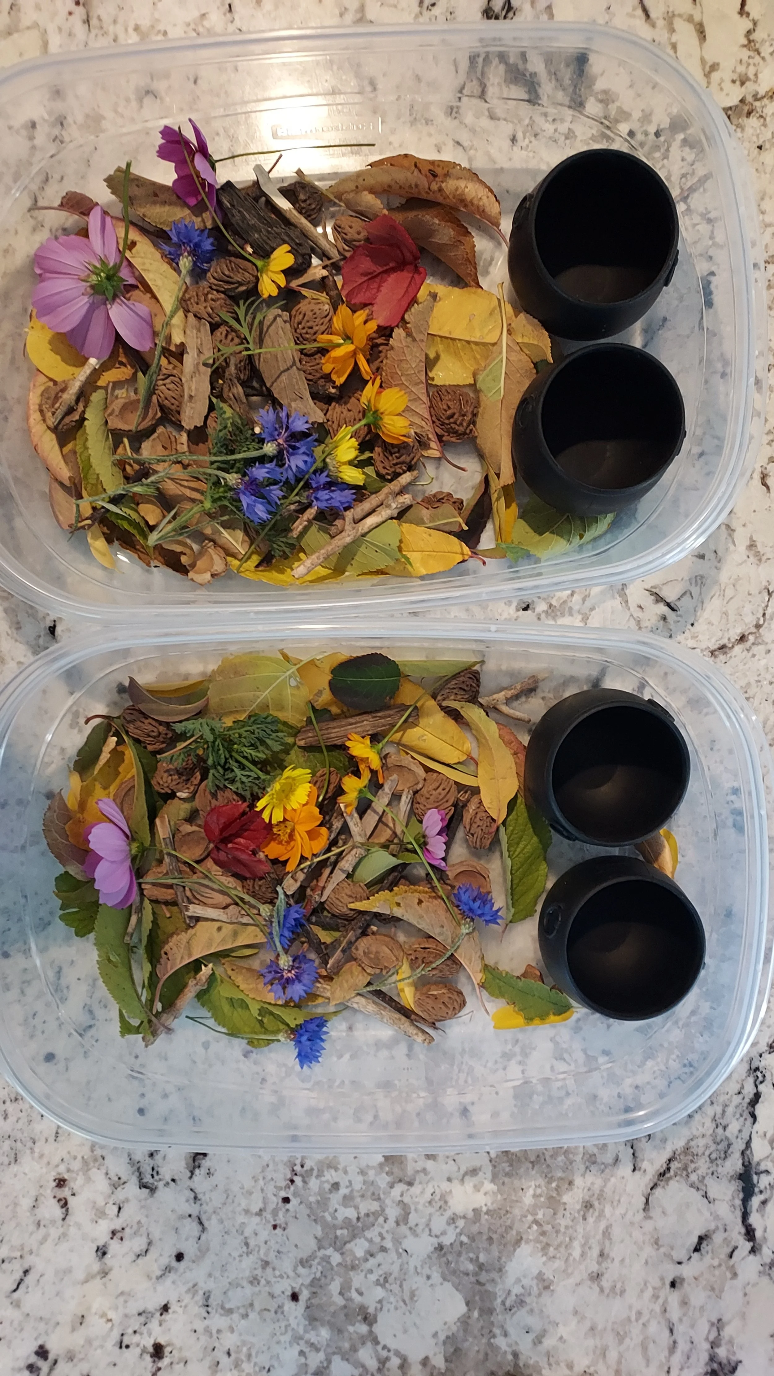 Two clear plastic containers filled with assorted dried leaves, small twigs, and colorful flowers, and each container has two black cups. The containers are on a light-colored stone or concrete surface.
