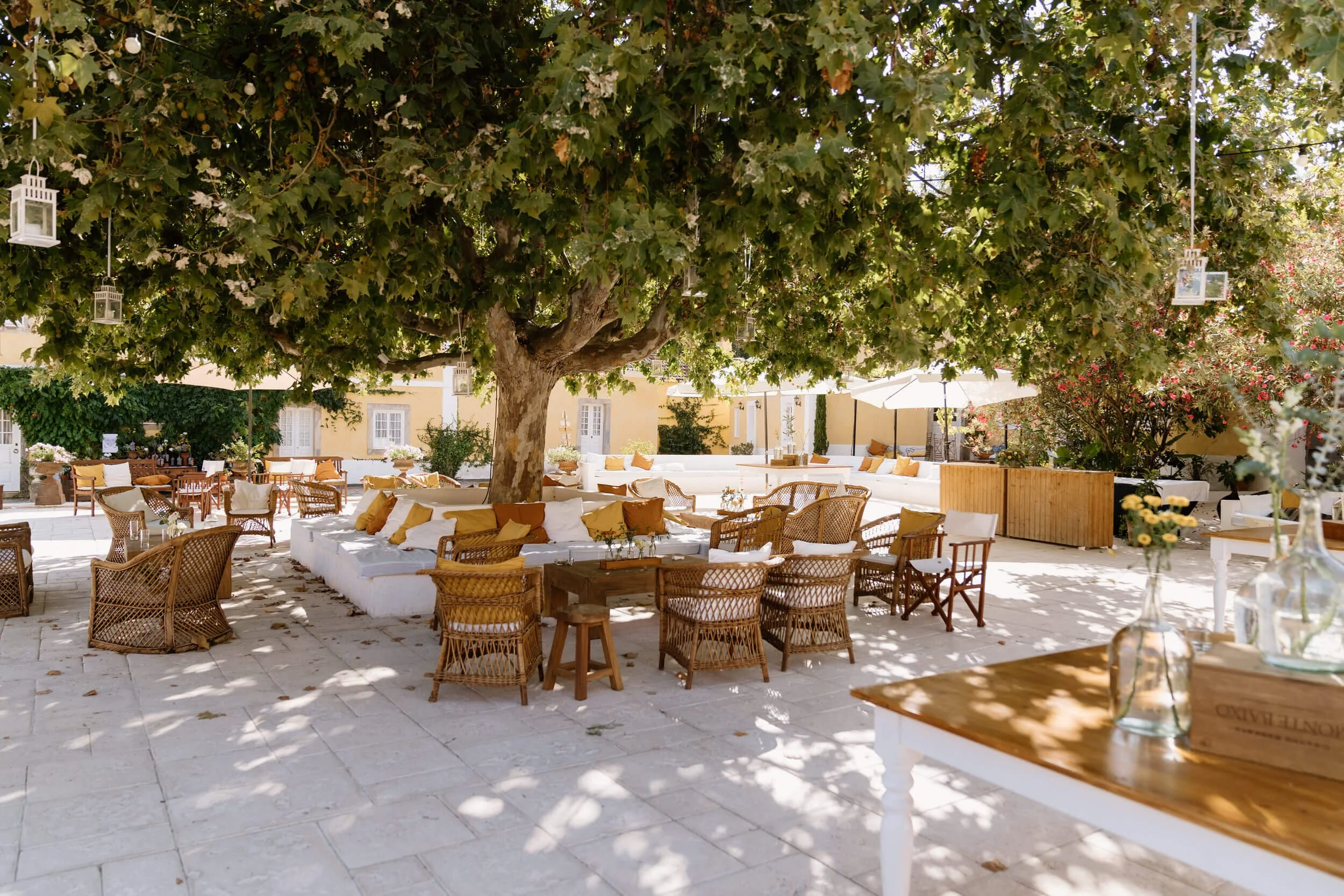 Outdoor seating area under a large leafy tree with wicker chairs, white and yellow cushions, and glass lanterns hanging from the branches.