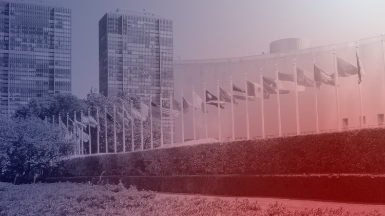 The U.N Building image