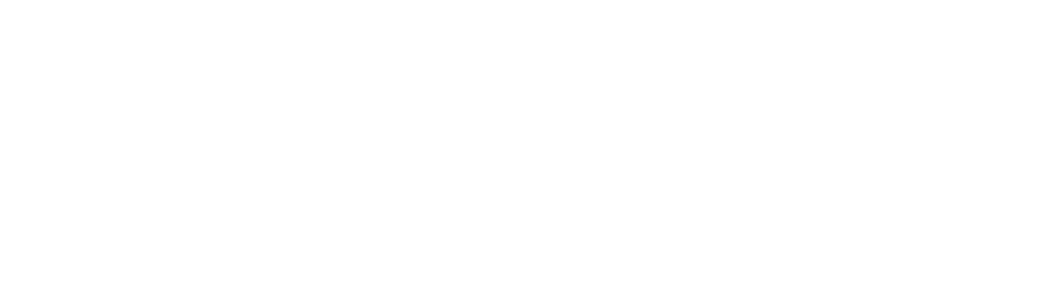 LAWRENCE K. SHAPIRO &amp; ASSOCIATES, P.C.