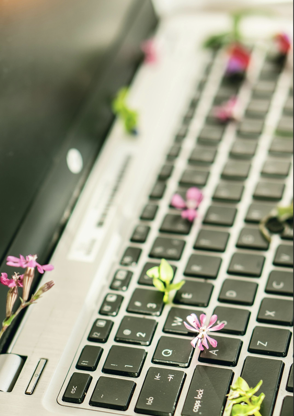 Virtual Planter Design