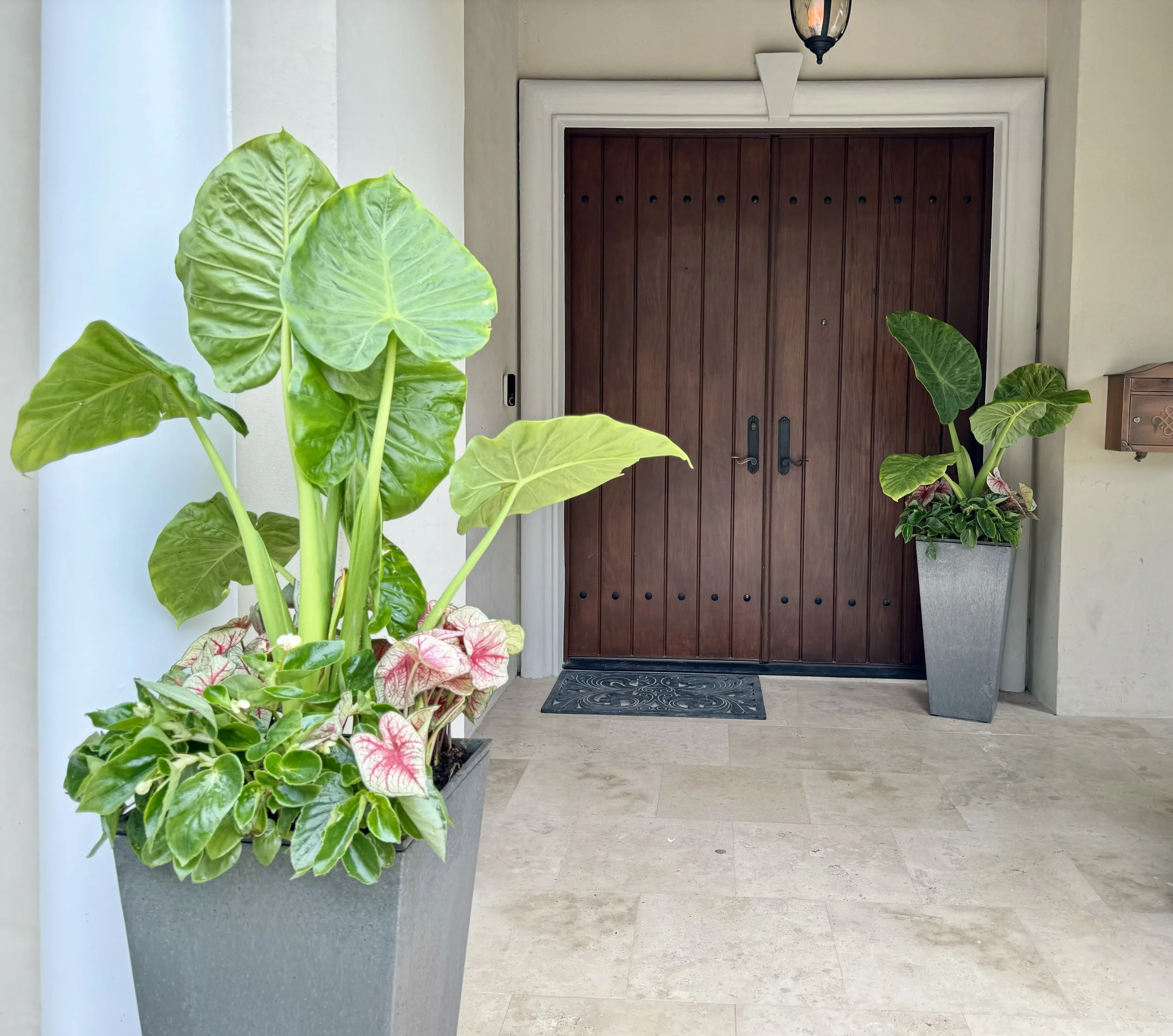 Seasonal Planter Club