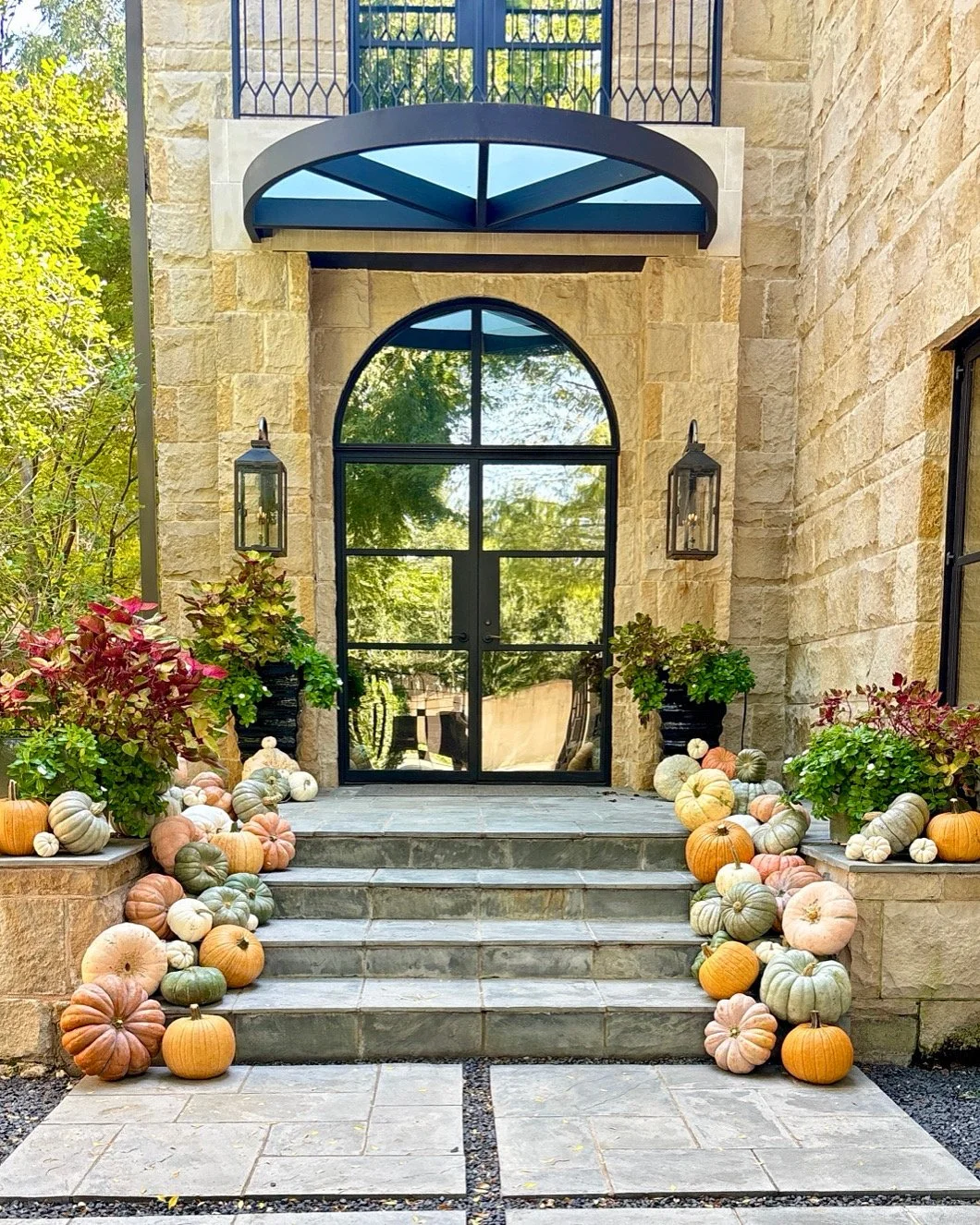 The Ultimate                             Dallas Pumpkin Guide