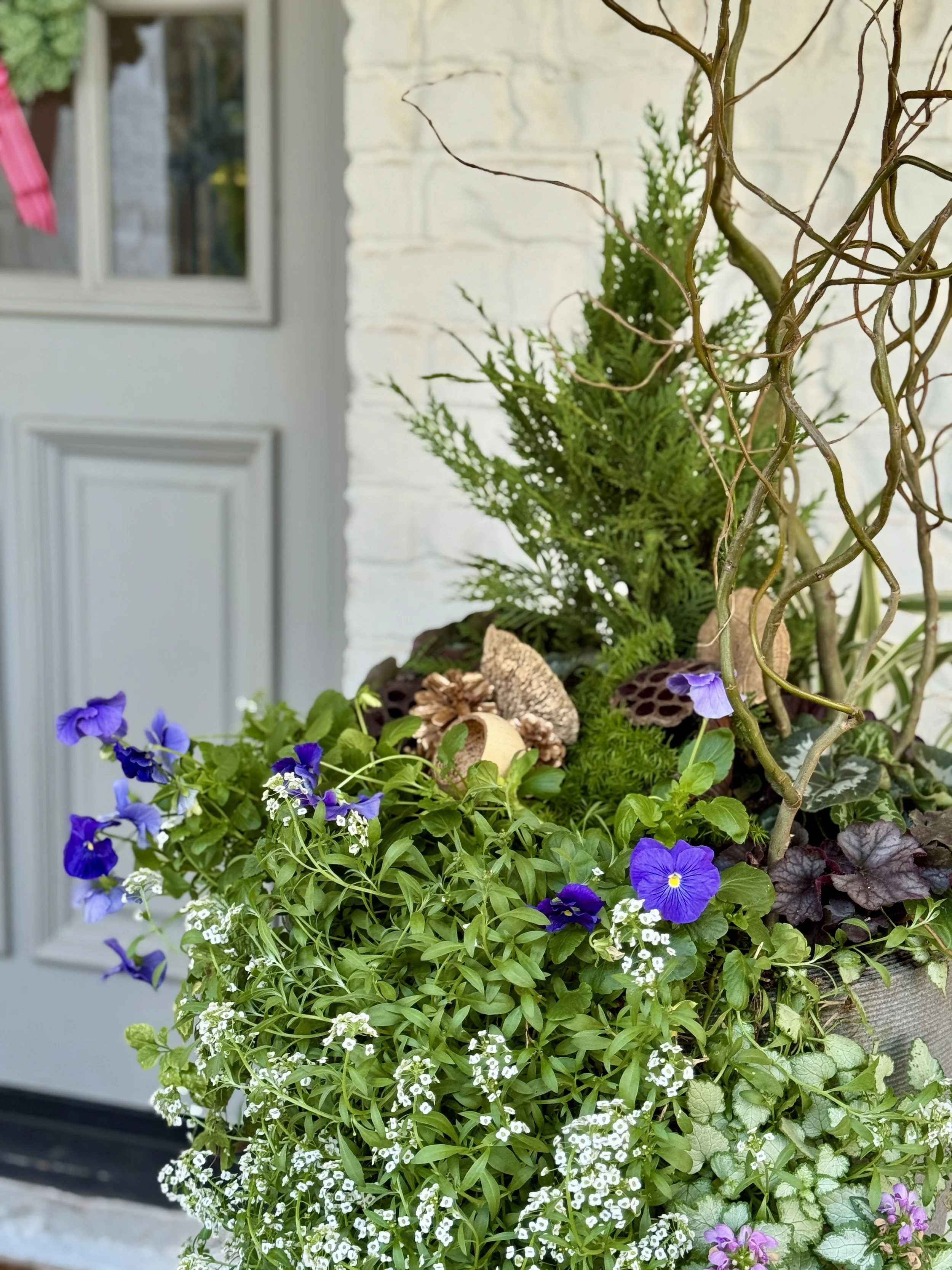 Planted & Perfected - Single Season Planting