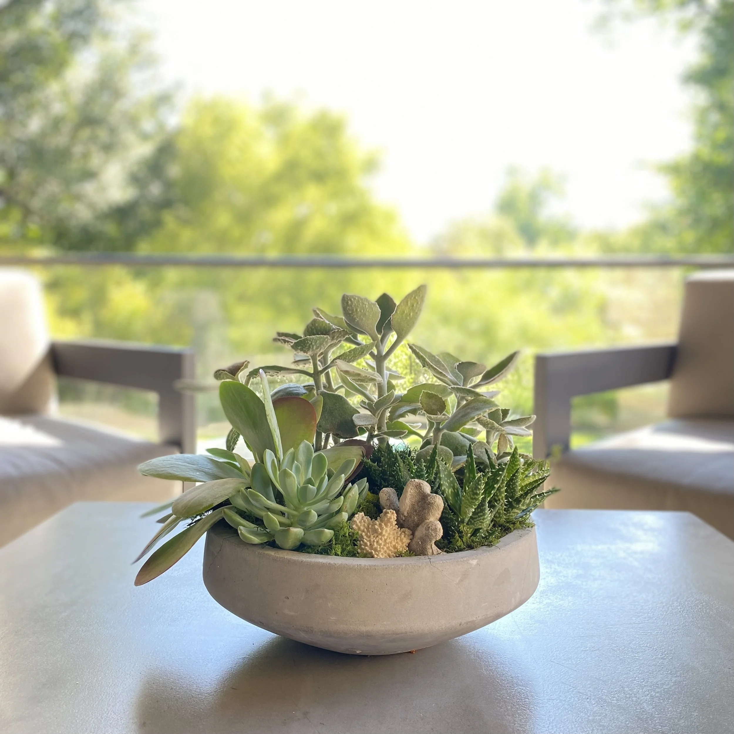 Exterior Custom Orchid and Succulent Display