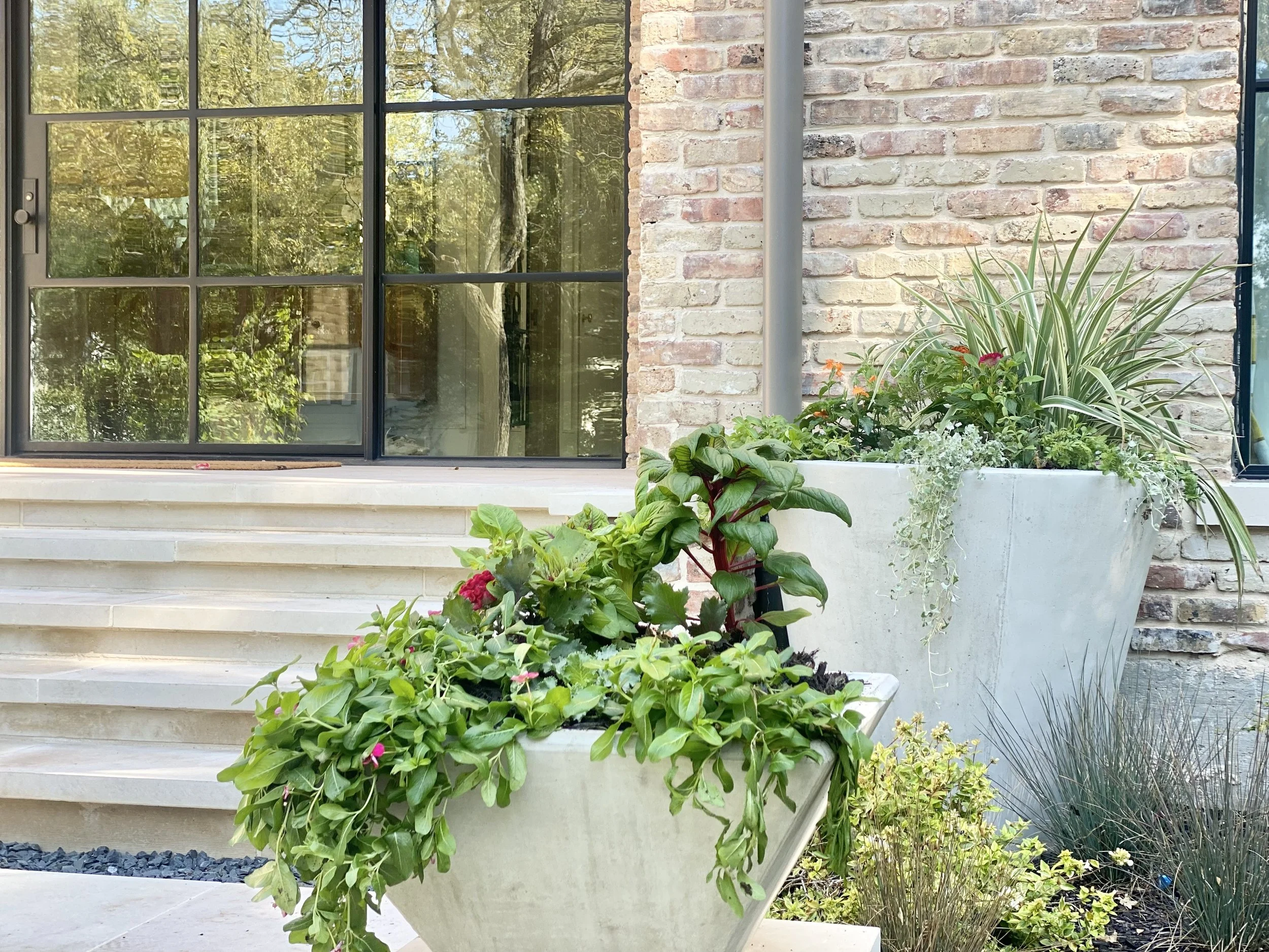 Consultation with Bee Contained