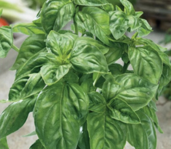 Screenshot 2026-02-10 at 1.08.08 PM.png