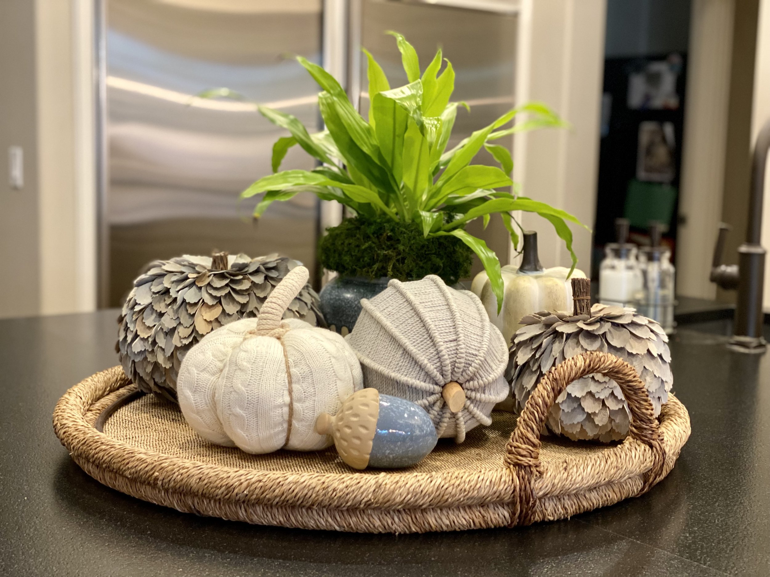 Mini Succulent Pumpkin