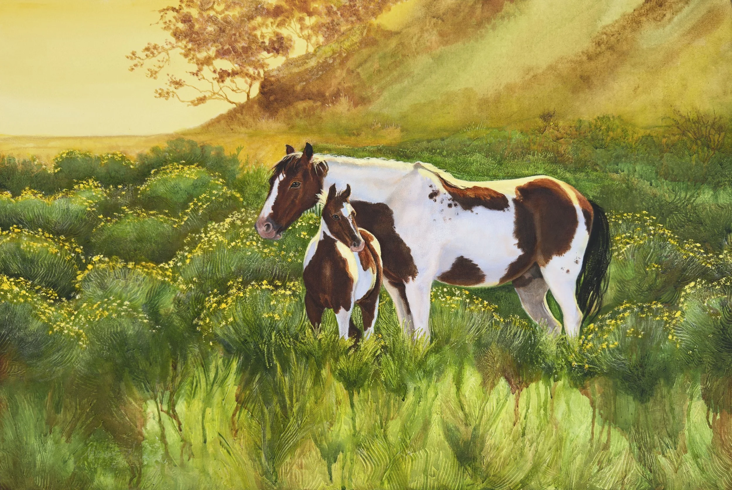 The Little Pinto 20x30.jpg