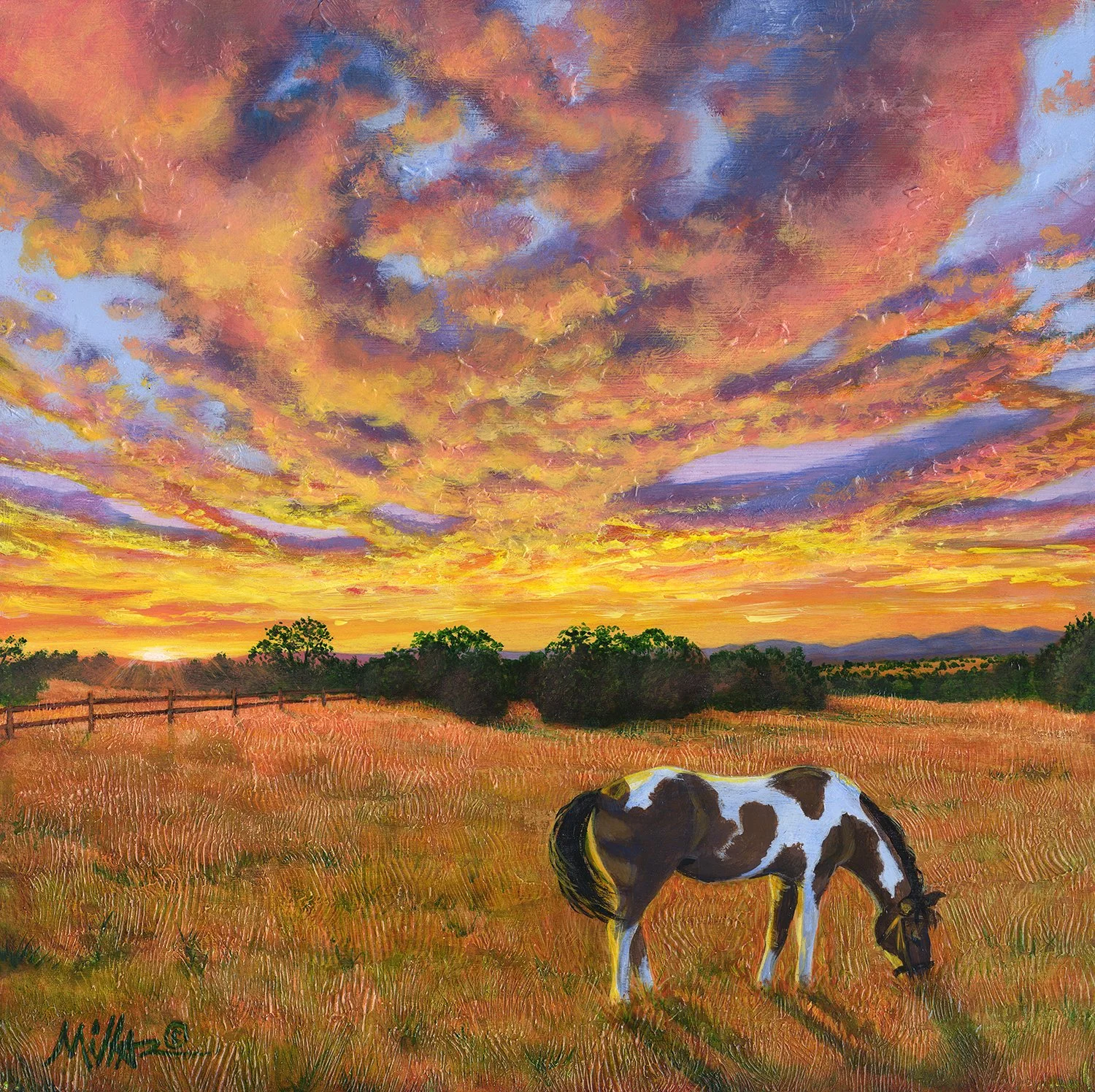 Buttermilk Sky