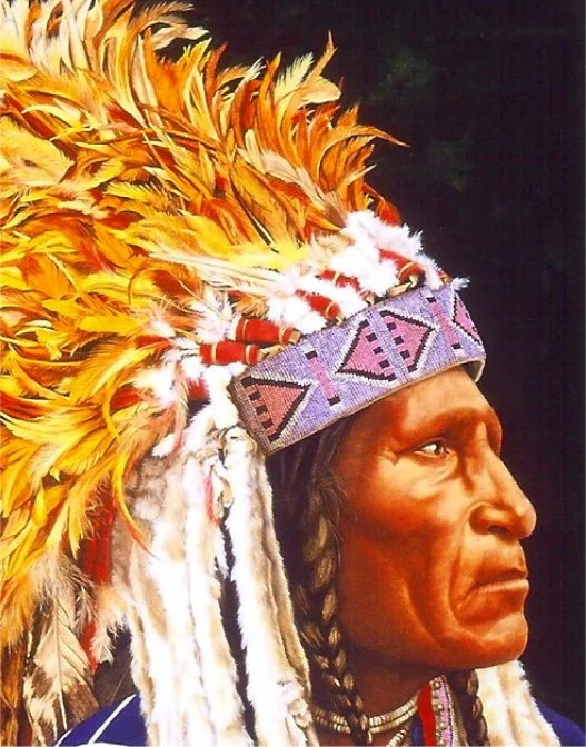 Fire Feathers - Greeting Card