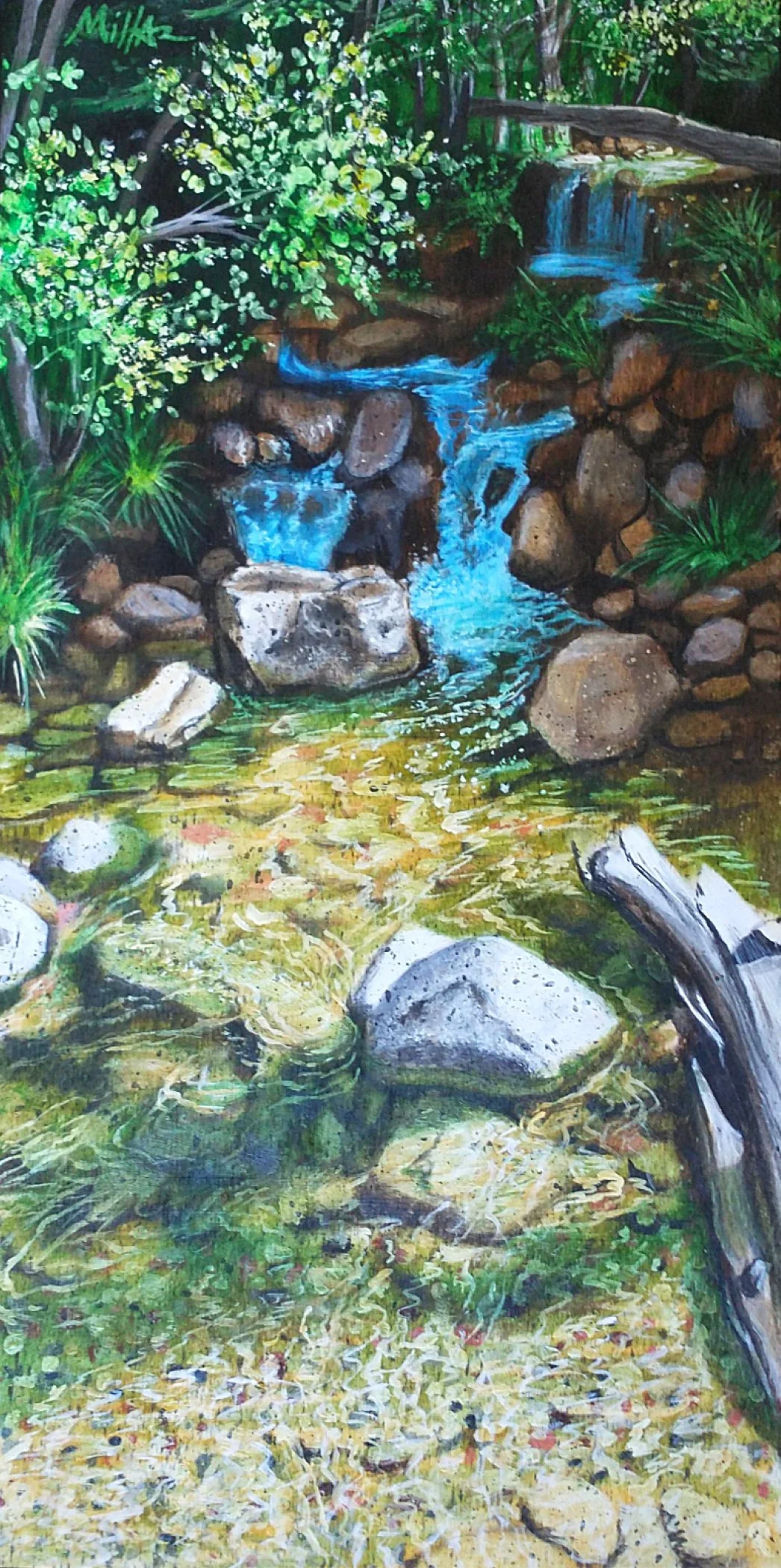 Big Tesuque #2  6" x 12"