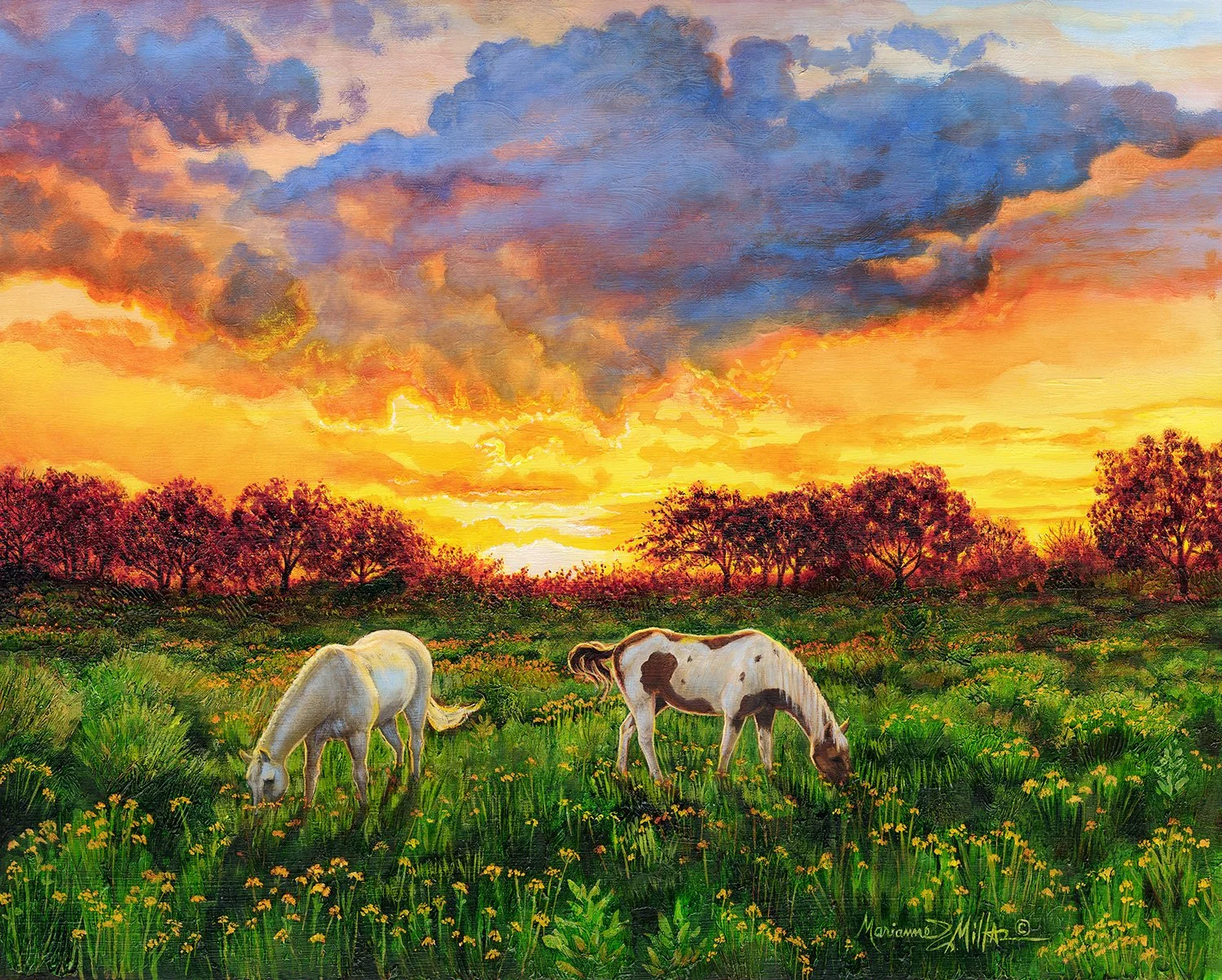 Horses at Sunset in Taos