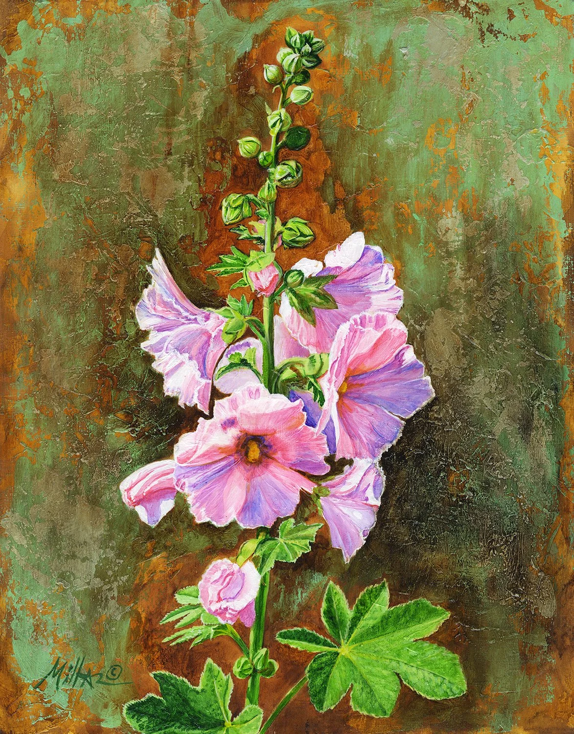 Hollyhocks on Lujan Street