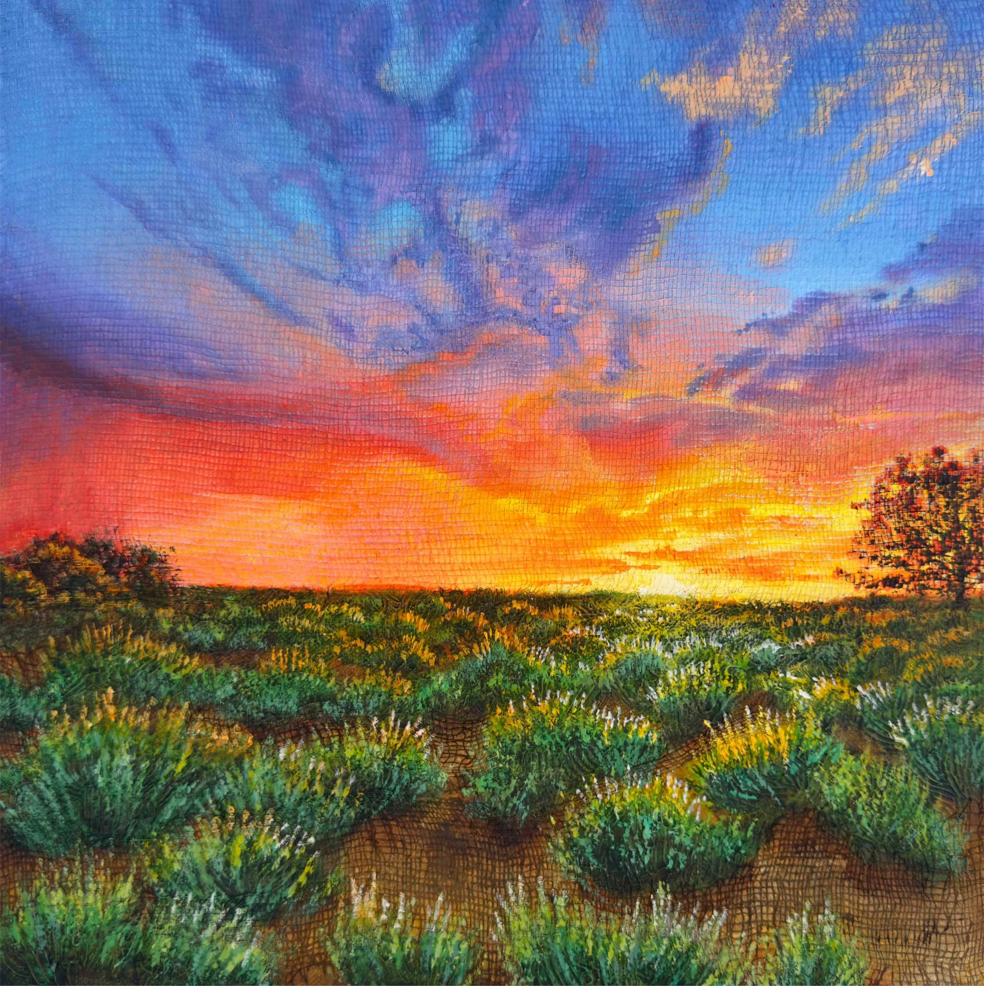Sunset in Santa Fe.jpg