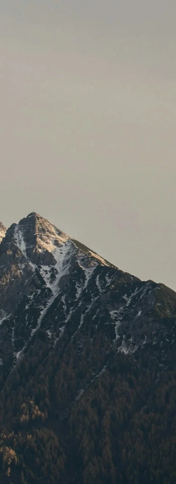 Marketing strategy consultant conducting diagnostic assessment for post-funding company expansion