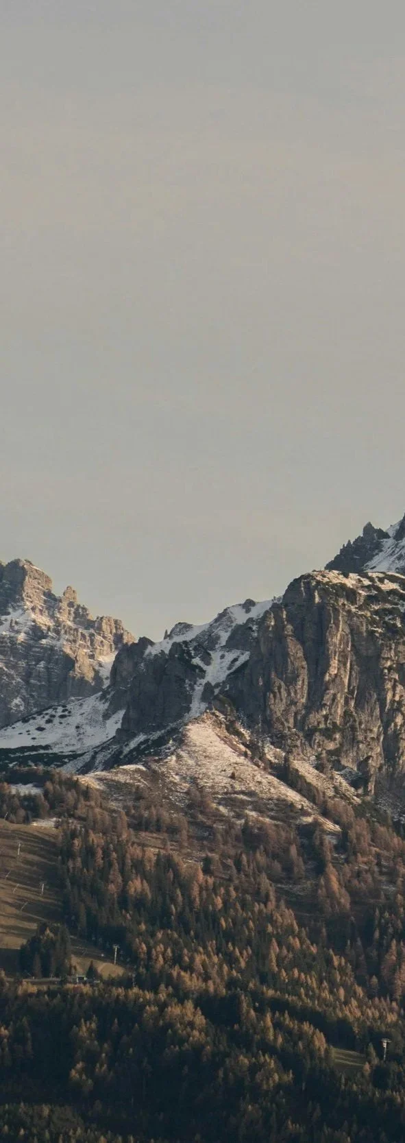 Go-to-market strategy development meeting with organizational design consultant and executive team