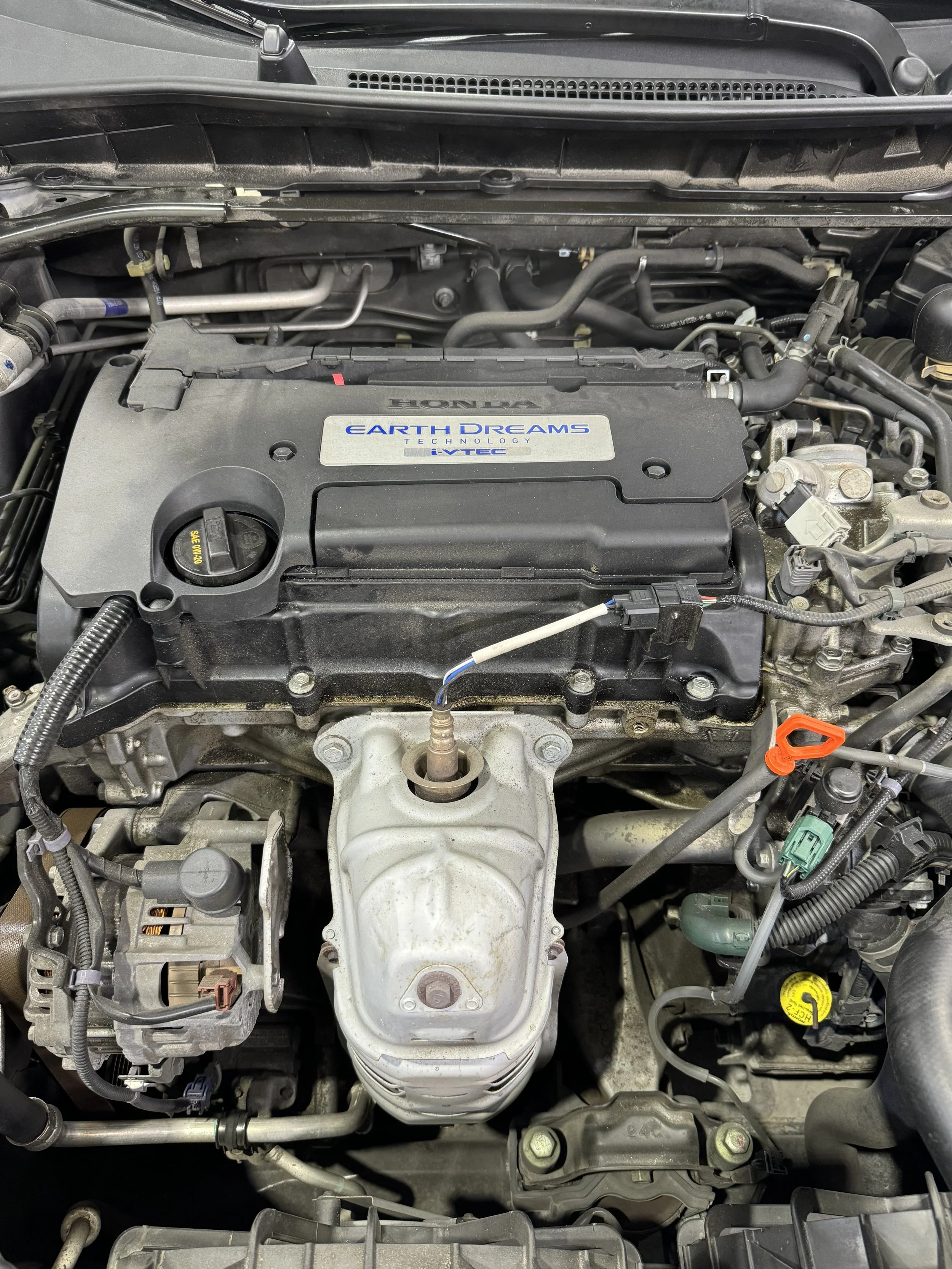 Honda engine being inspected for a check engine light at Black Bear Auto Service in Burnaby, BC