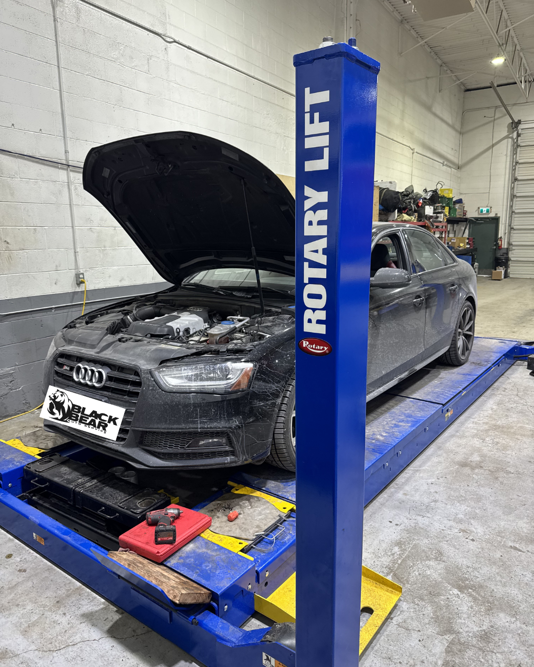 European Wheel Alignment service at Black Bear Auto Service Burnaby, BC