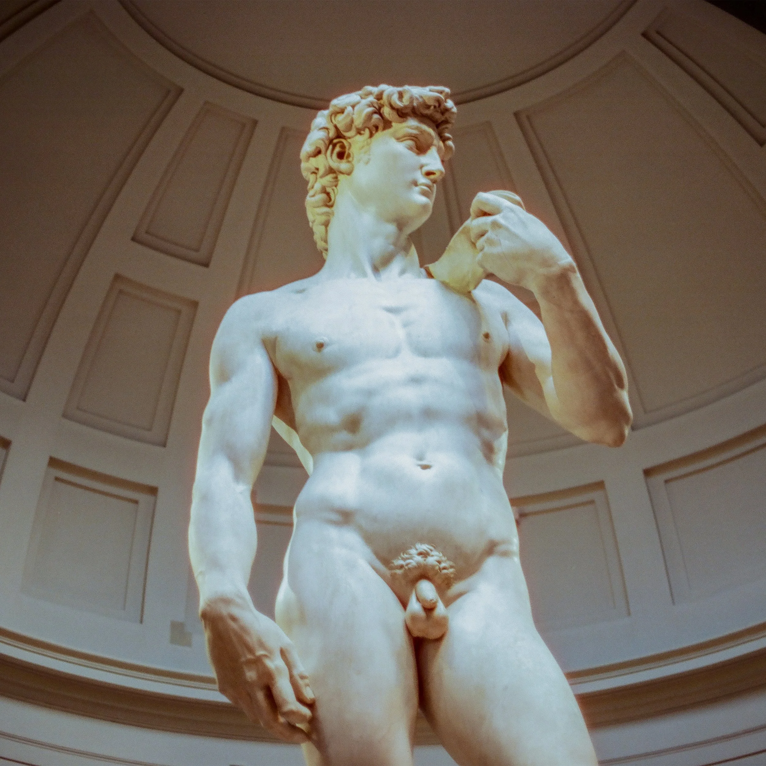 Close-up of the marble statue of David, a famous Renaissance sculpture, shown from a low angle with detailed features, set against a rounded architectural background.