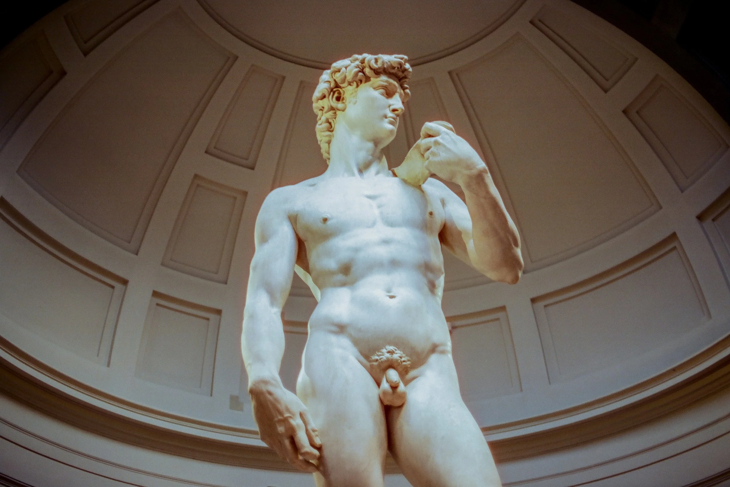 Michelangelo's David, Florence