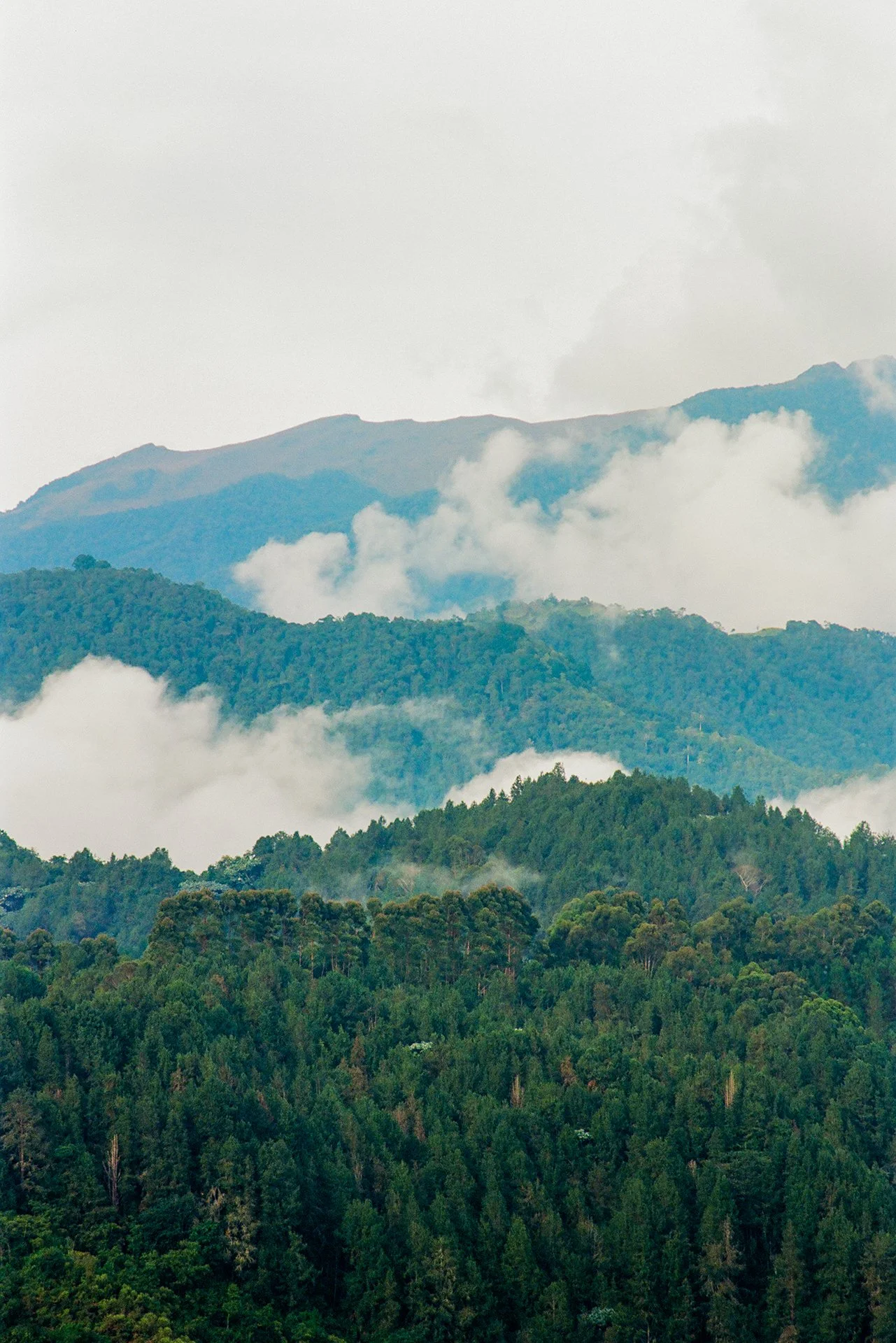 Montañas, Colombia.
