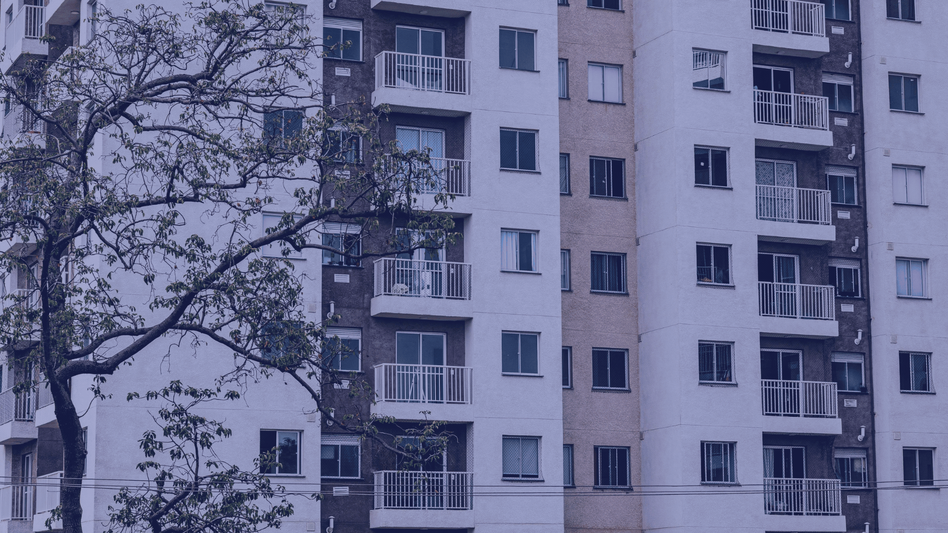 An apartment building with multiple balconies and windows, with a tree in the foreground and power lines at the bottom.