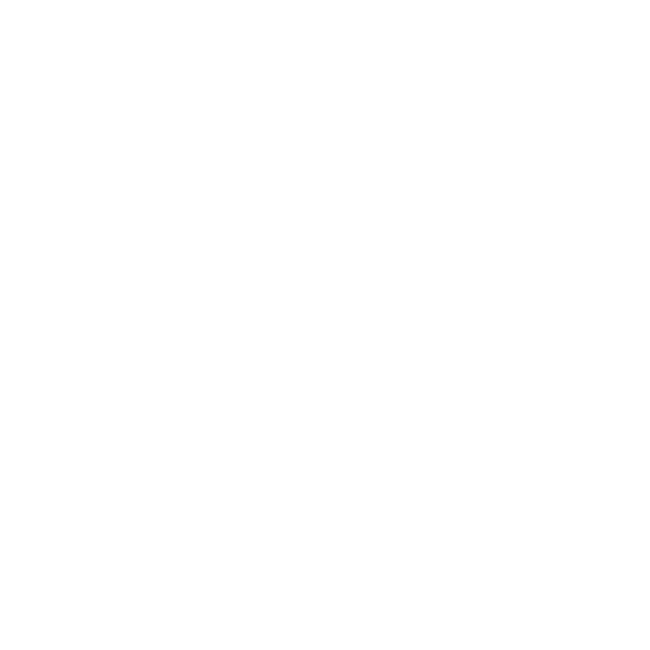 Star-shaped badge with a smaller star in the center, enclosed in a circular outline.