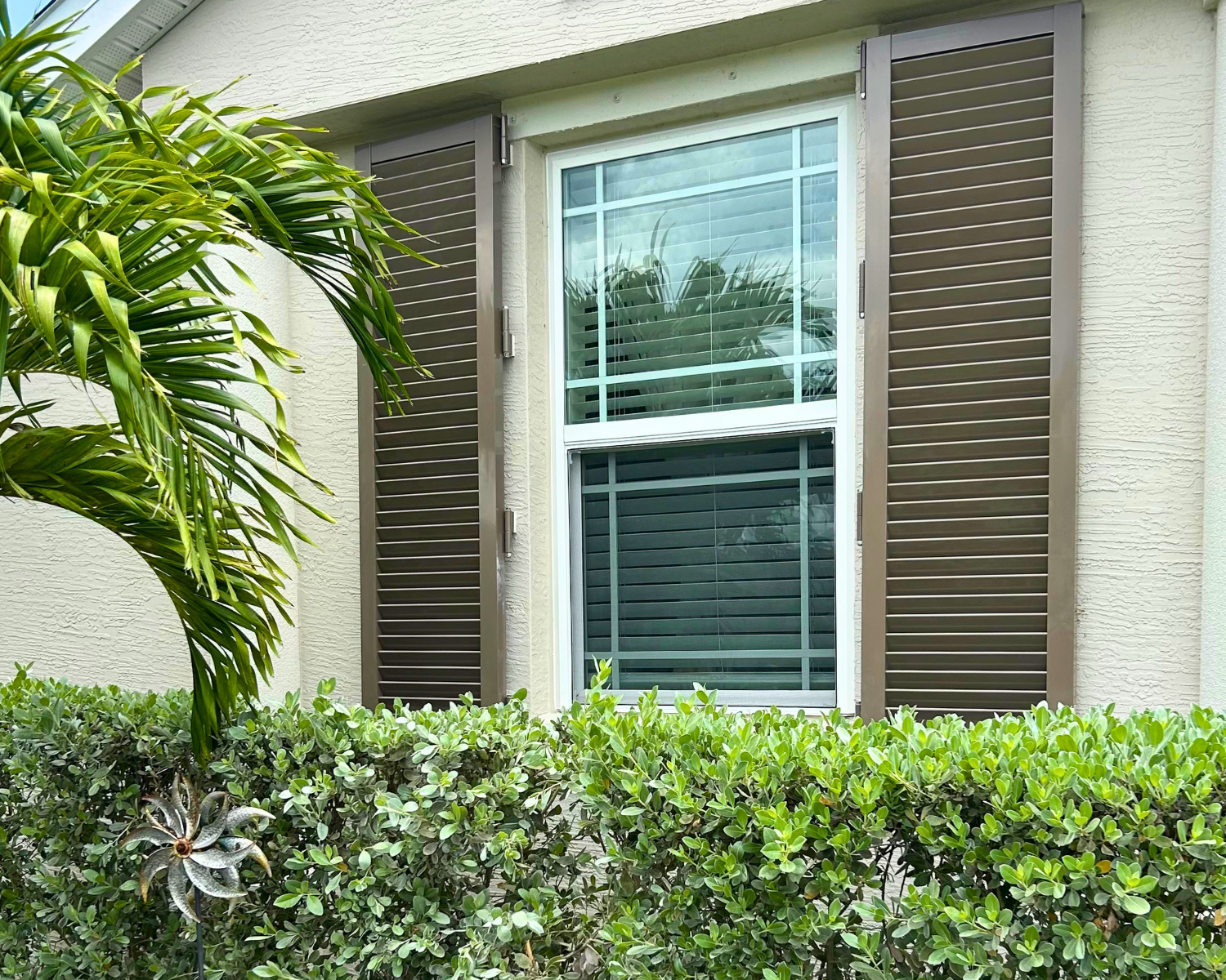 A white-framed window with horizontal blinds, surrounded by dark gray shutters, on a light-colored stucco wall. In front of the wall, there are green bushes and a leafy plant with broad leaves.
