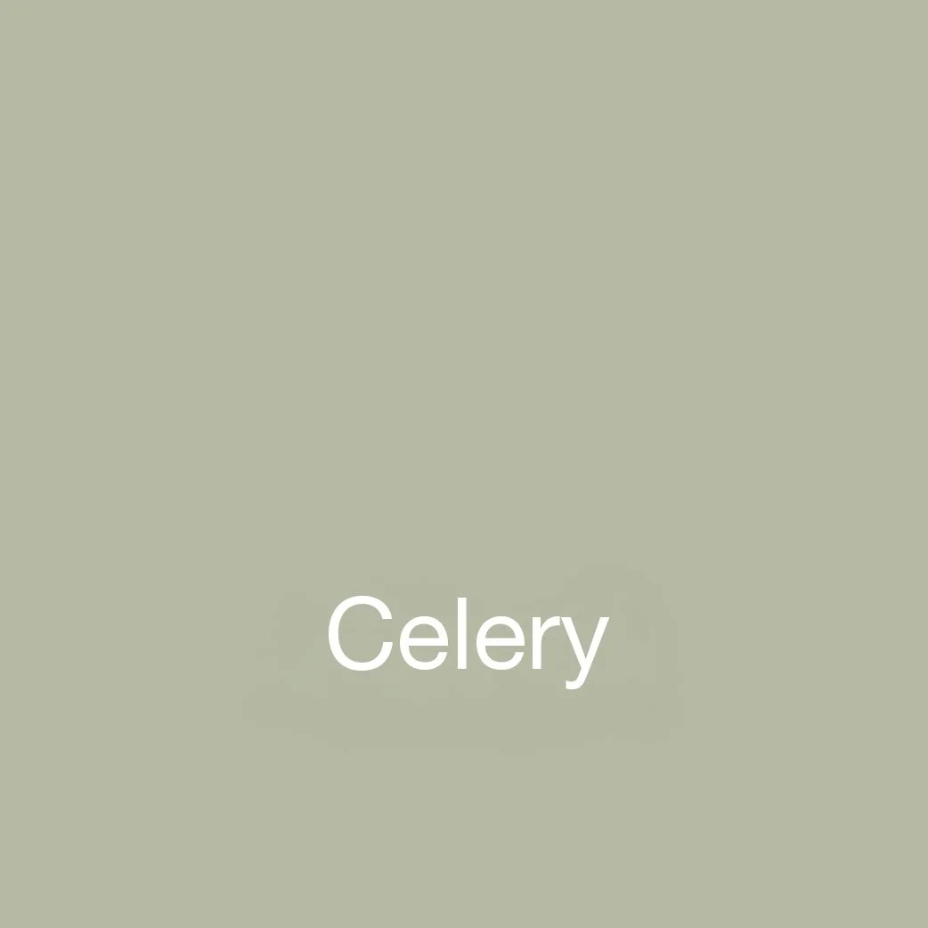 Celery.jpg