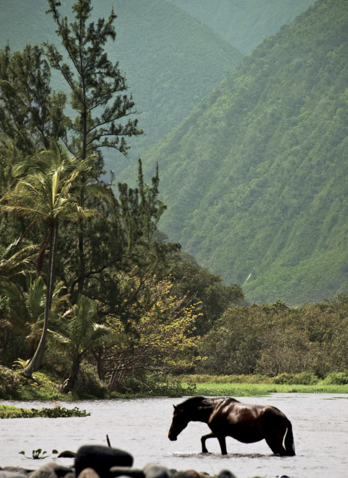 Screenshot 2026-04-07 at 5.02.18 PM.png