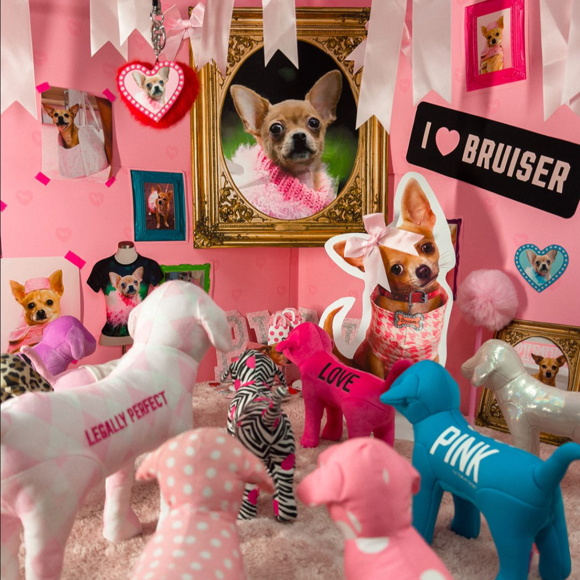 Victoria’s Secret PINK Elle (Legally Blonde Prequel) Collaboration