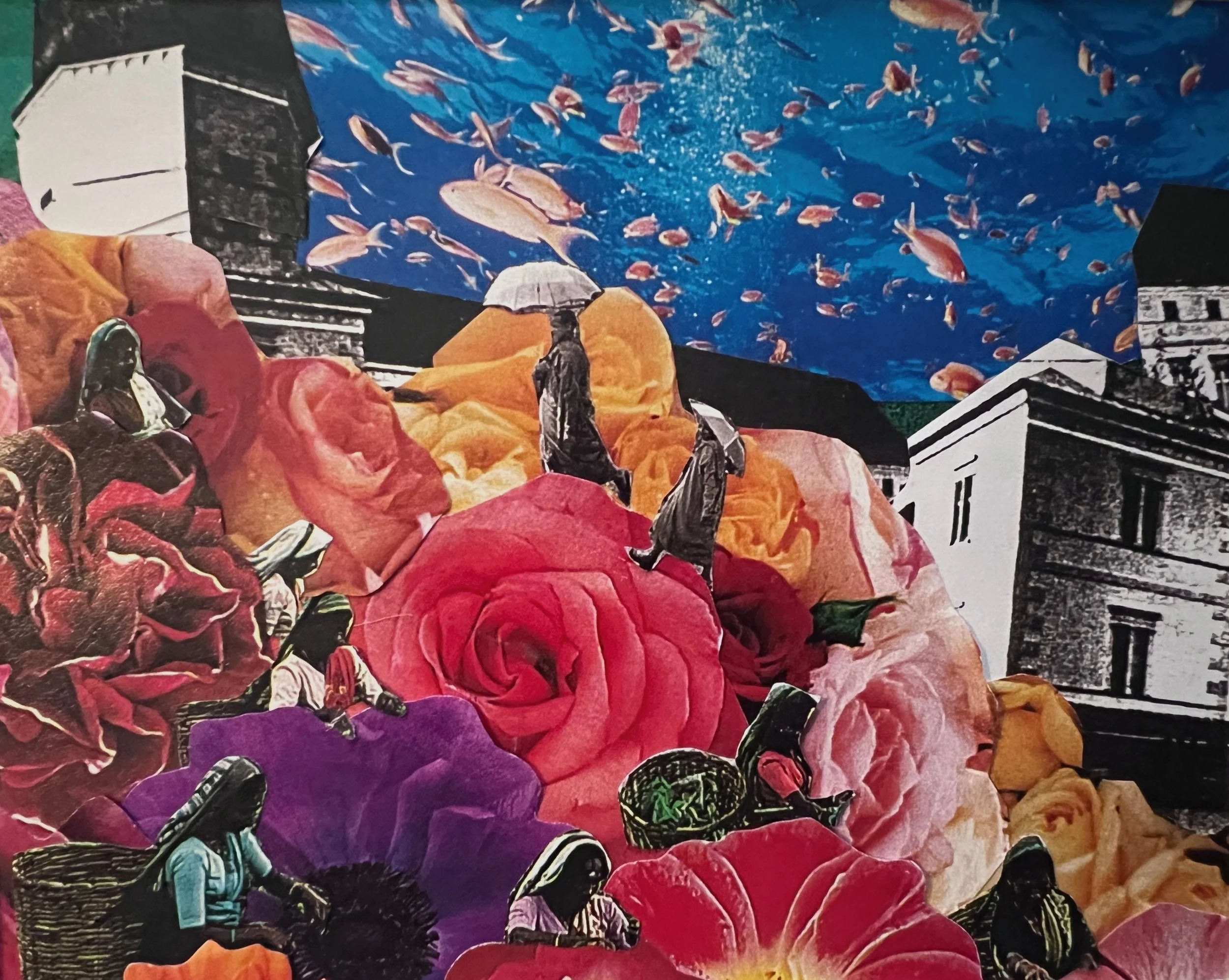collage_3491.jpeg