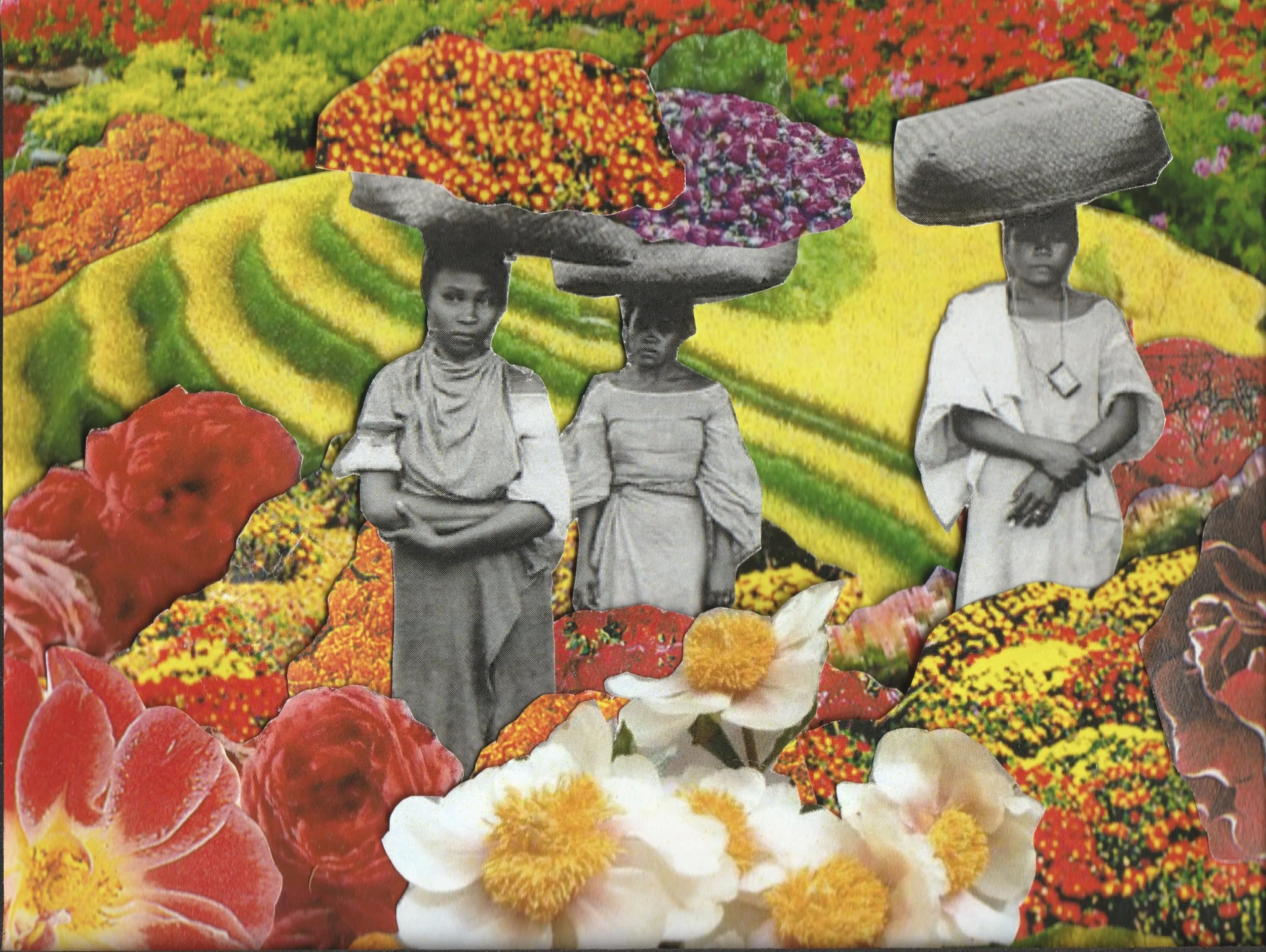 Collage flower.jpg