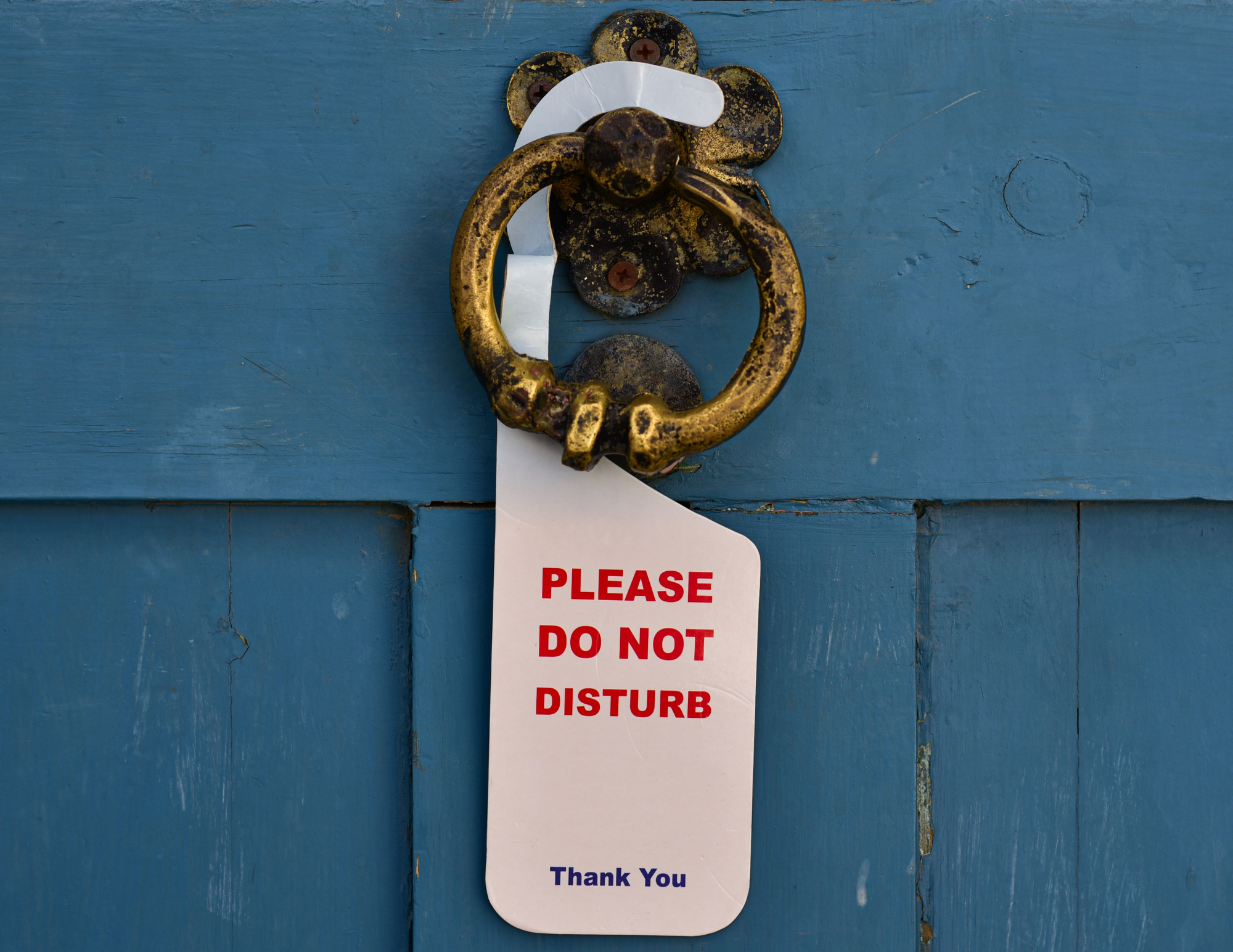A blue wooden door with an antique brass door knocker shaped like a lion's head. A white paper sign with red text reading 'PLEASE DO NOT DISTURB' is hanging from the knocker, and there is a smaller blue 'Thank You' message below.