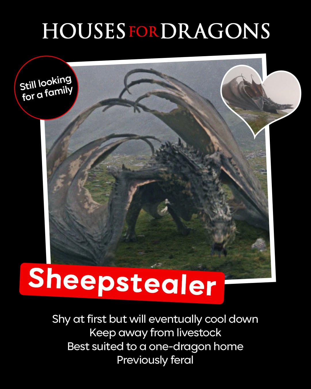 A parody magazine cover titled 'HOUSES FOR DRAGONS' featuring a creature called a 'Sheepstealer,' which resembles a large, winged, dragon-like animal. The cover includes a smaller inset image of a house with the creature lying on the roof, and a red circle with the text 'Still looking for a family.' The text below describes the Sheepstealer as shy initially but eventually cooling down, to keep away from livestock, best suited for a one-dragon home, and previously feral.