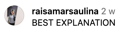 A screenshot of an Instagram post by raisamarsaulina with the caption 'BEST EXPLANATION'.