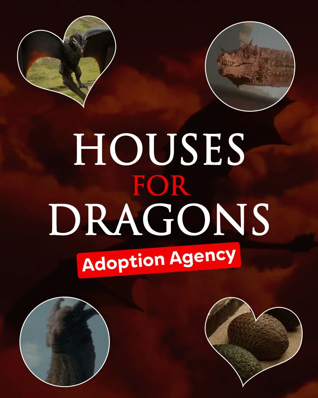 Poster for an adoption agency called "Houses for Dragons" featuring images of dragons and eggs.