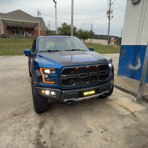 FORD RAPTOR DETAIL