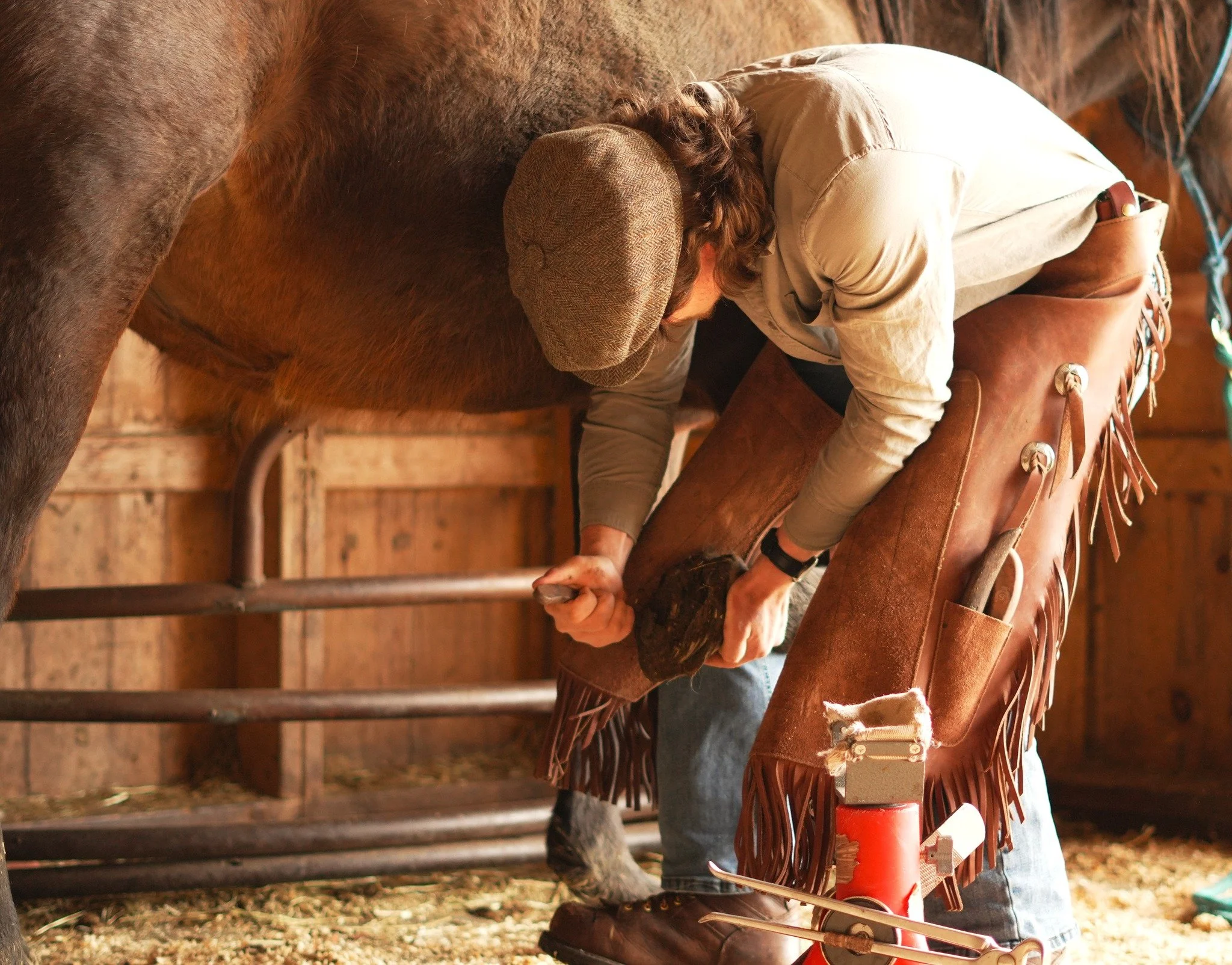 Maine farrier services