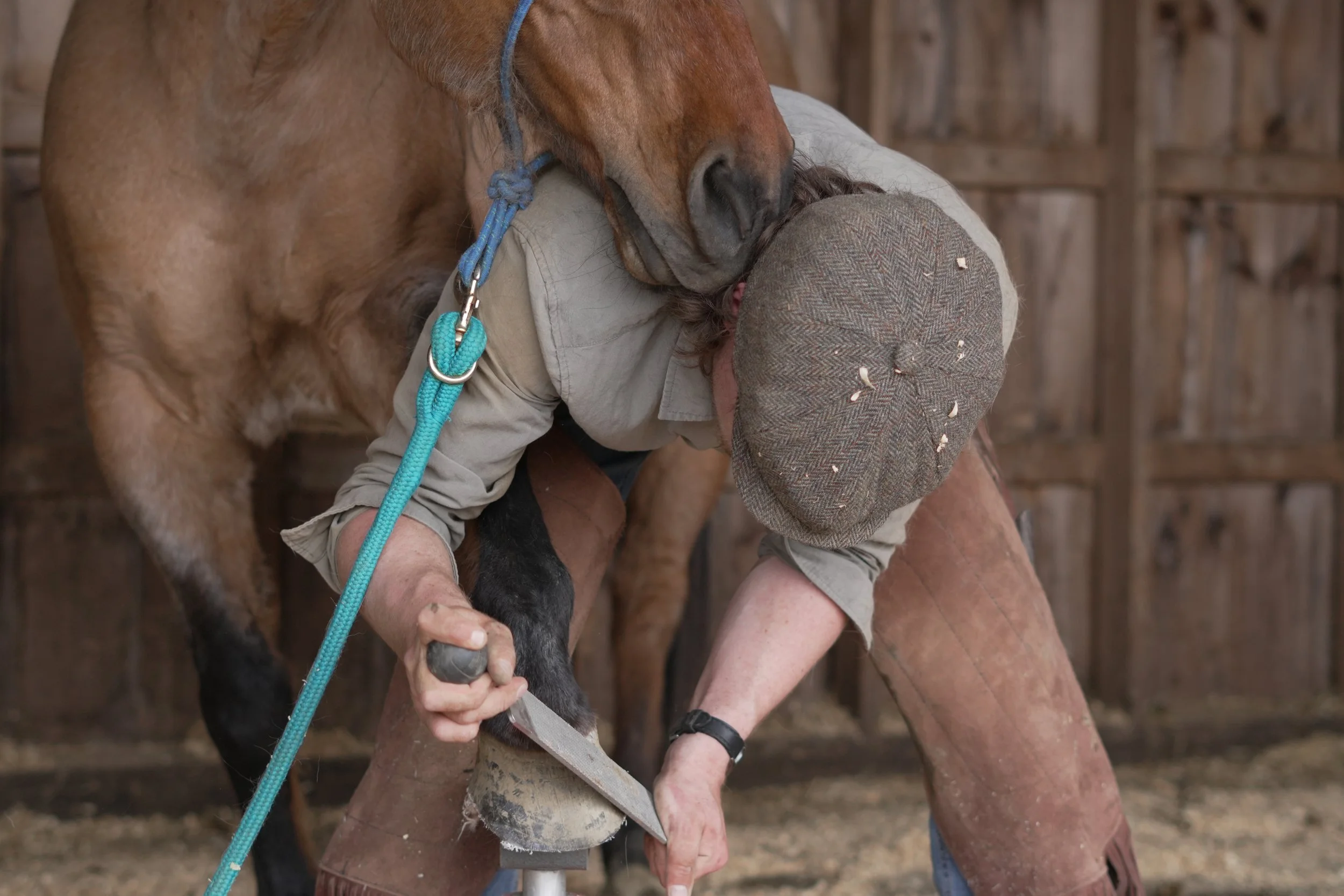 A person in a hat shaping a horse's hoof with a tool in a barn with wooden walls.