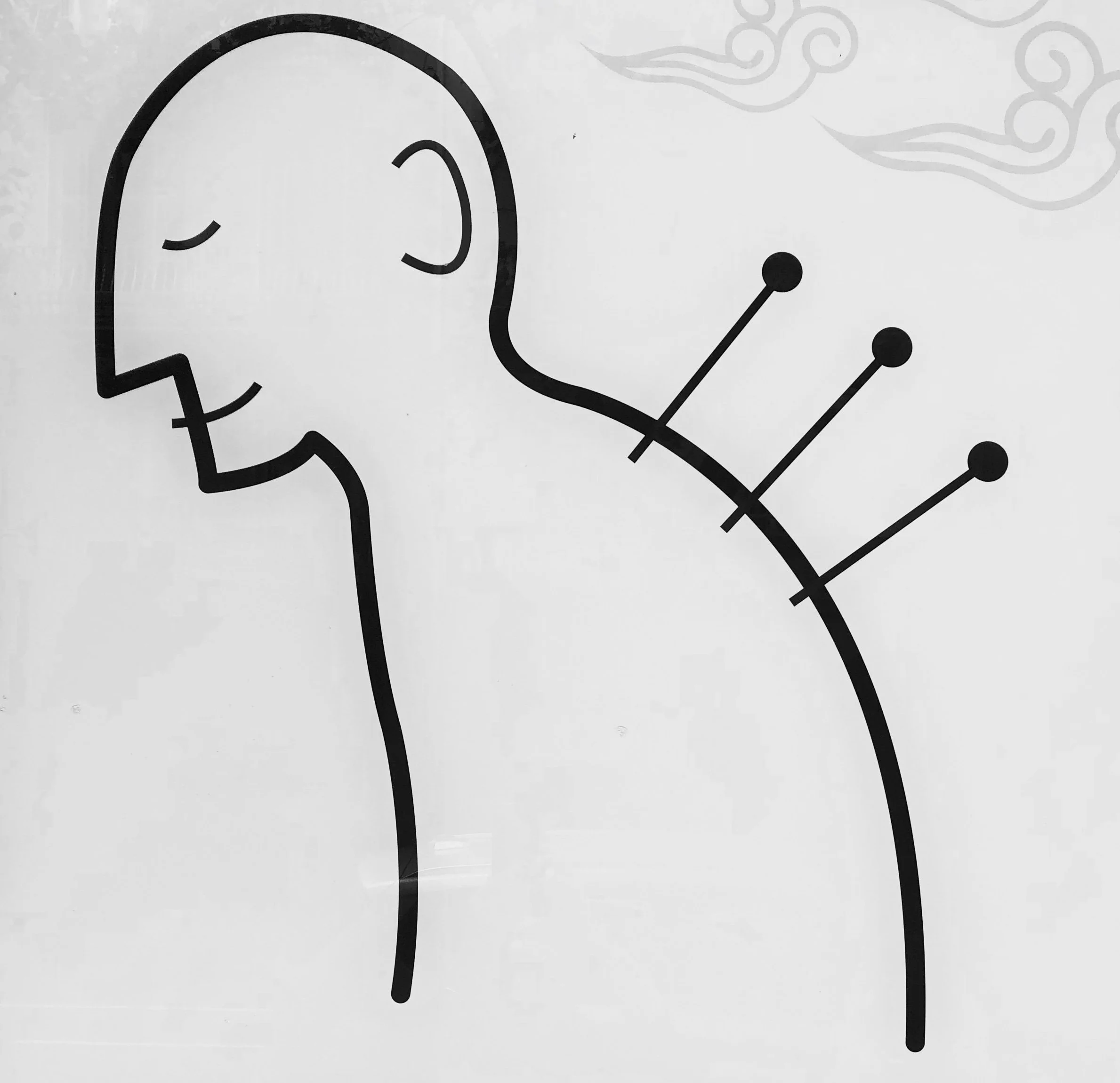 Blanche (nutrition, pain management)