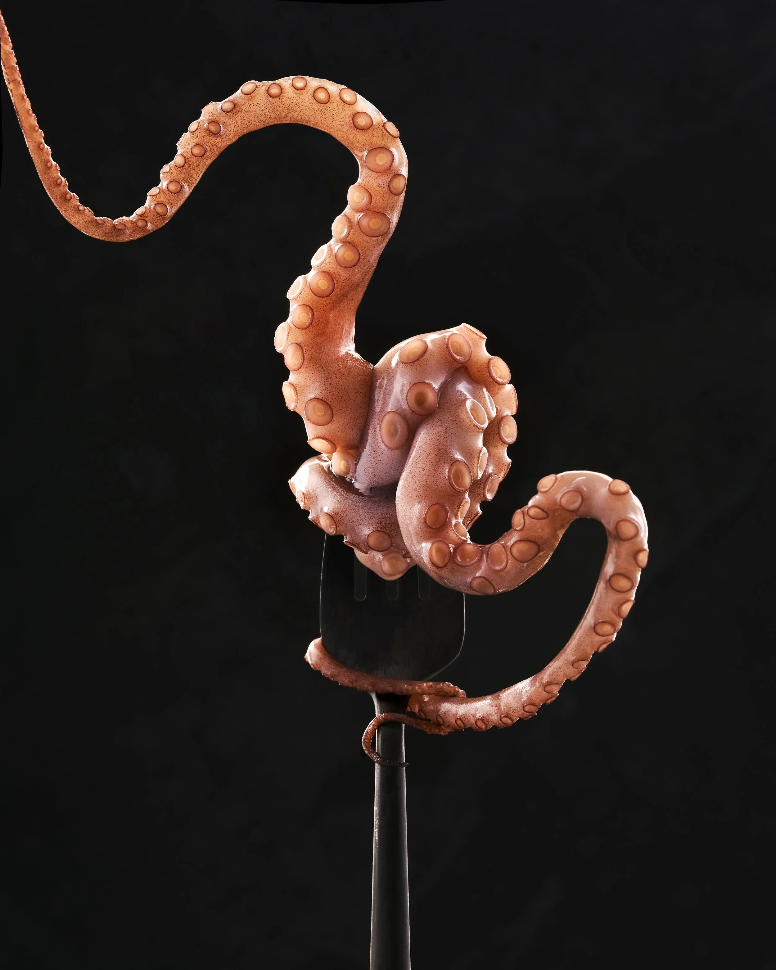 A cooked octopus tentacle draped over a black fork against a black background.