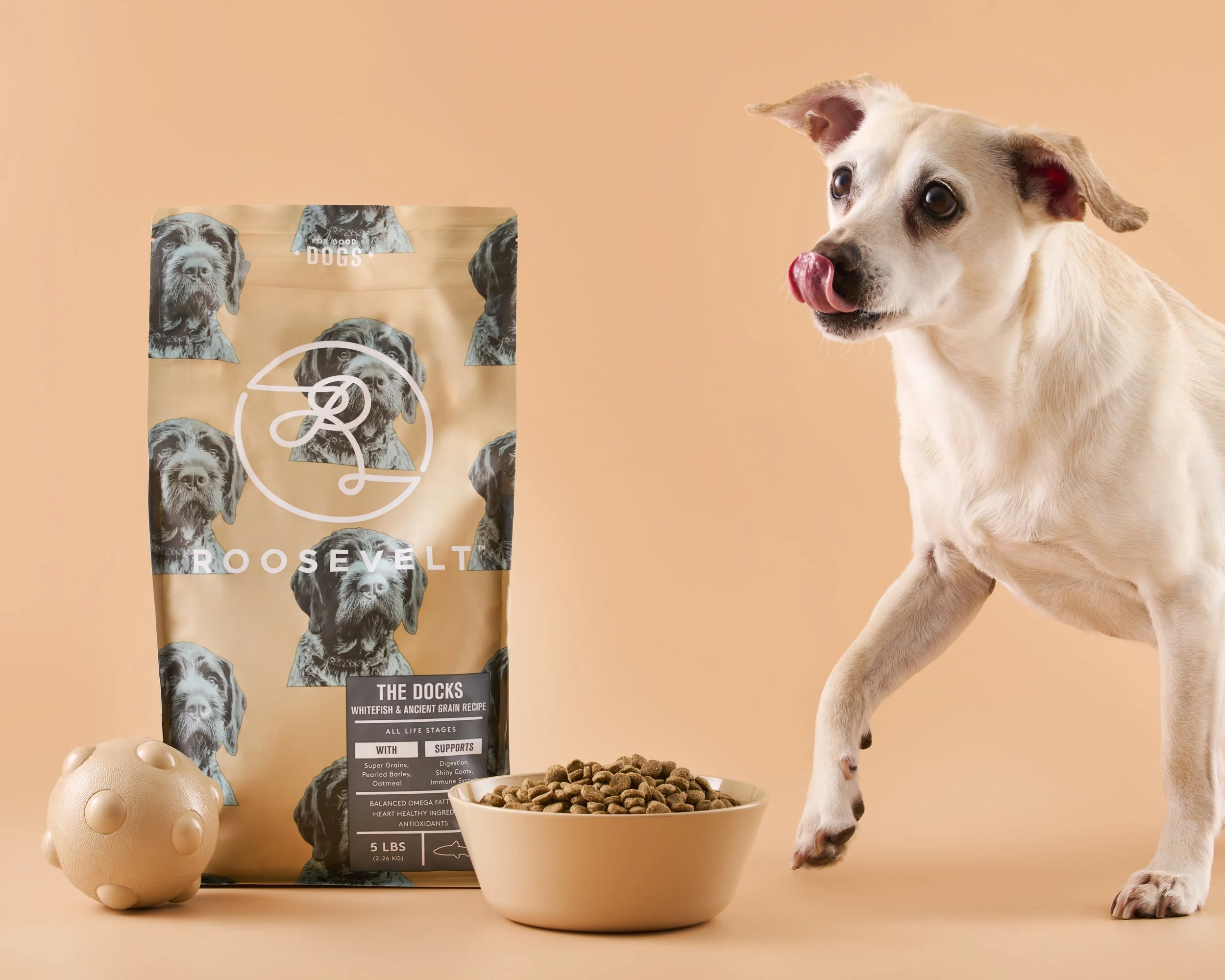 A real dog licking its nose next to a bag of Roosevelt dog food, a bowl of dry dog food, and a textured rubber dog toy on a peach background.