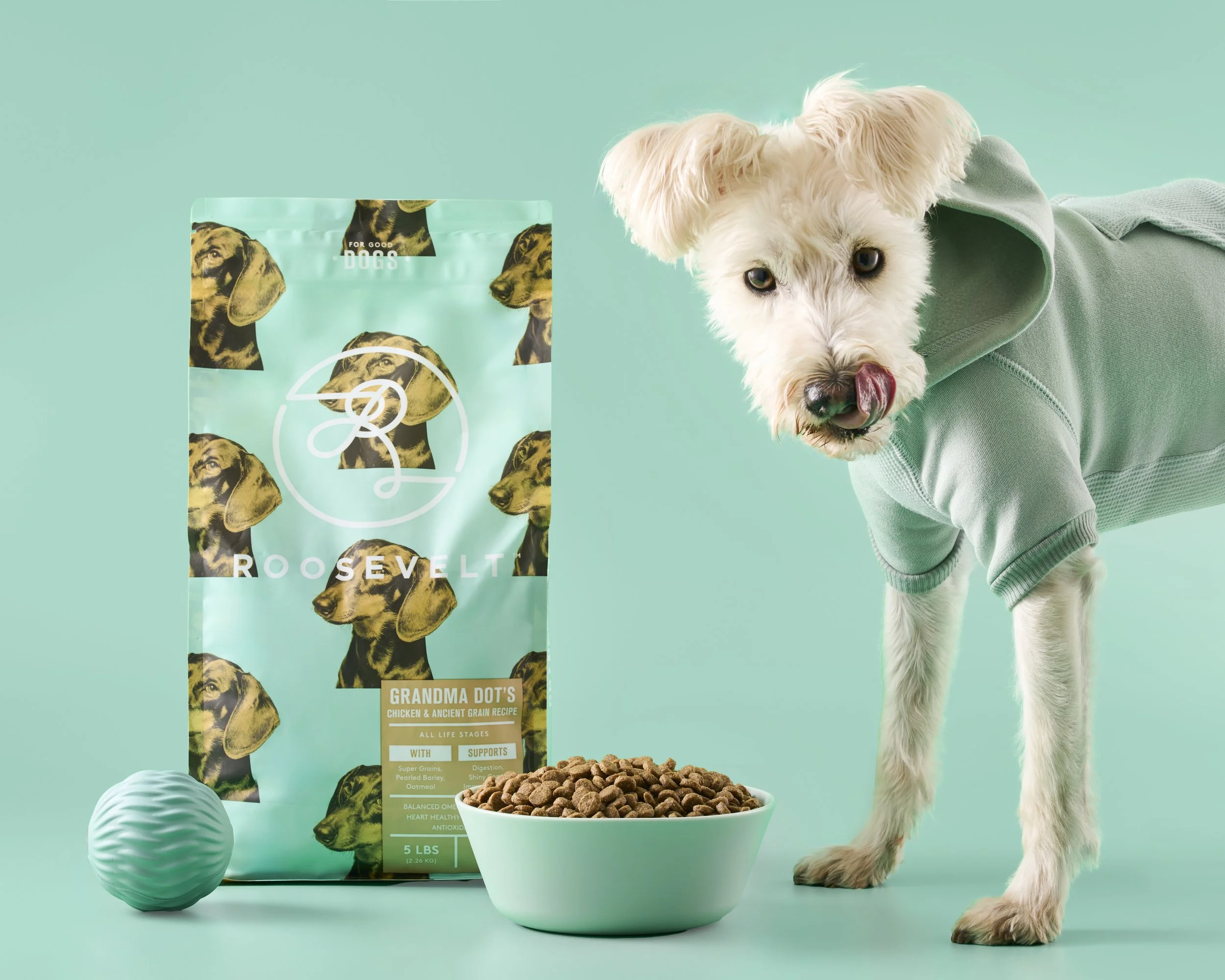 A white dog with curly fur, wearing a light green hoodie, is licking its nose while standing next to a bowl of dry dog food. Behind the dog is a turquoise bag of Roosevelt Grandma Dot's dog food with a pattern of dog heads and labels, and a small lig