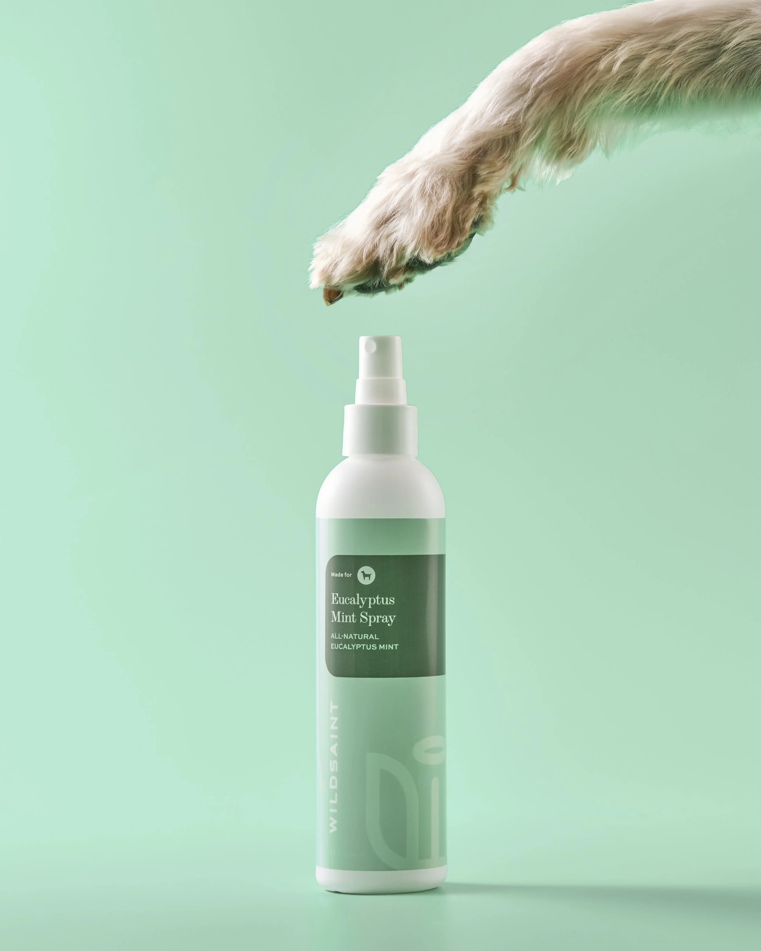 A dog’s paw reaching toward a spray bottle labeled 'Eucalyptus Mint Spray' against a light green background.